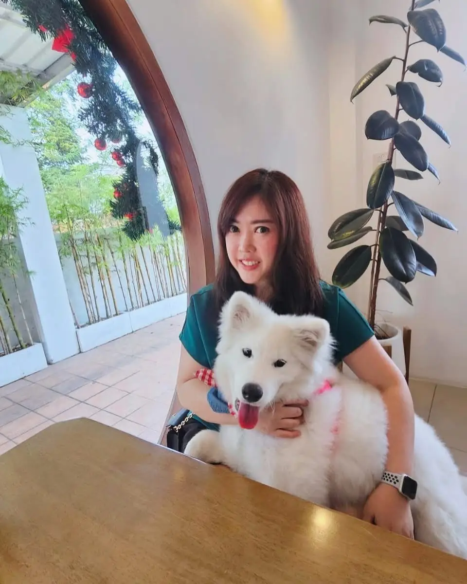 Jeji Cafe & Dessert Shop pets image 3