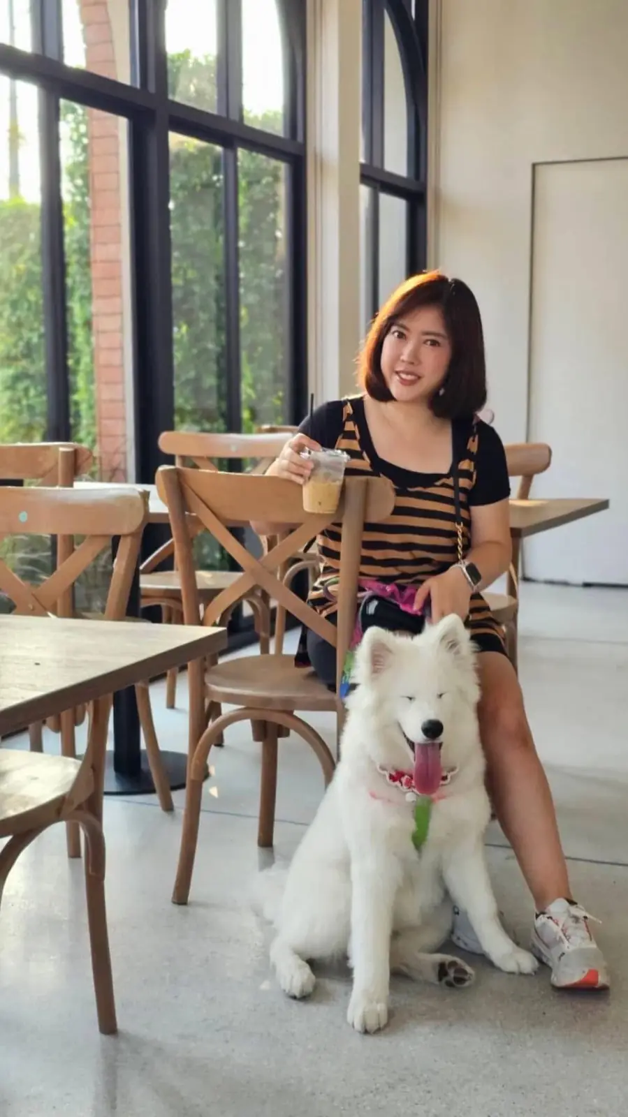 Dawn to Dusk BKK pets image 2