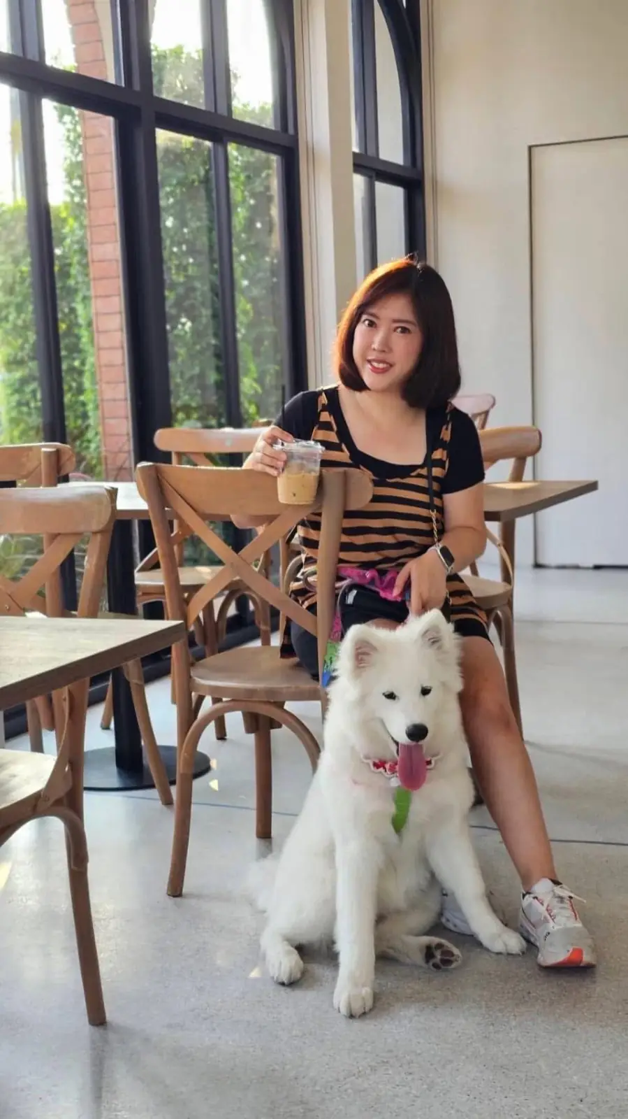 Dawn to Dusk BKK pets image 3