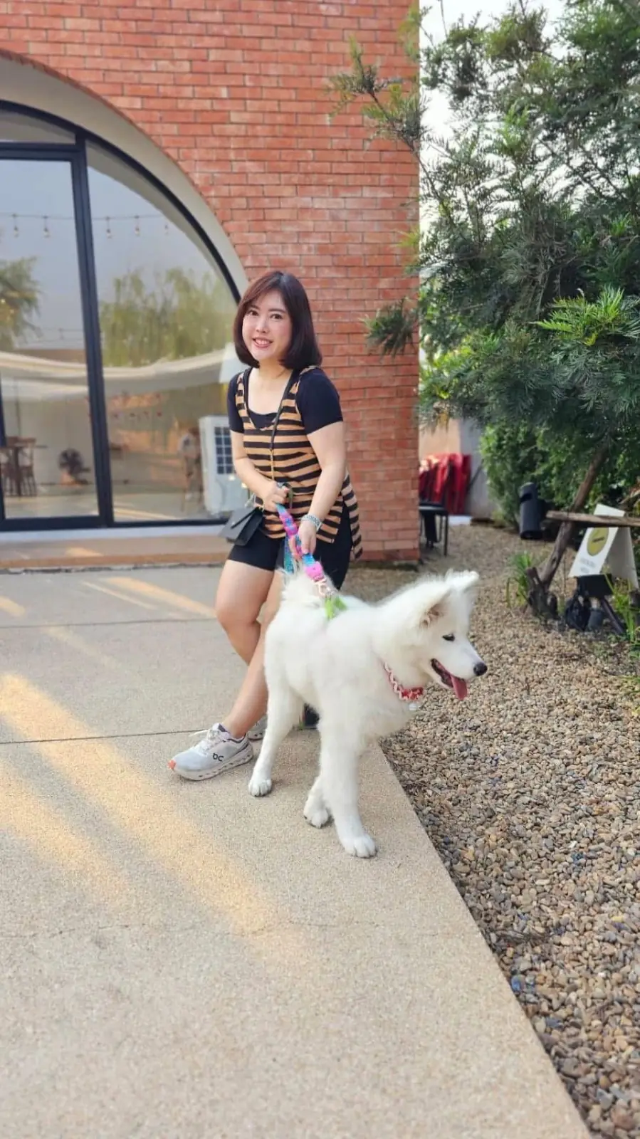 Dawn to Dusk BKK pets image 1