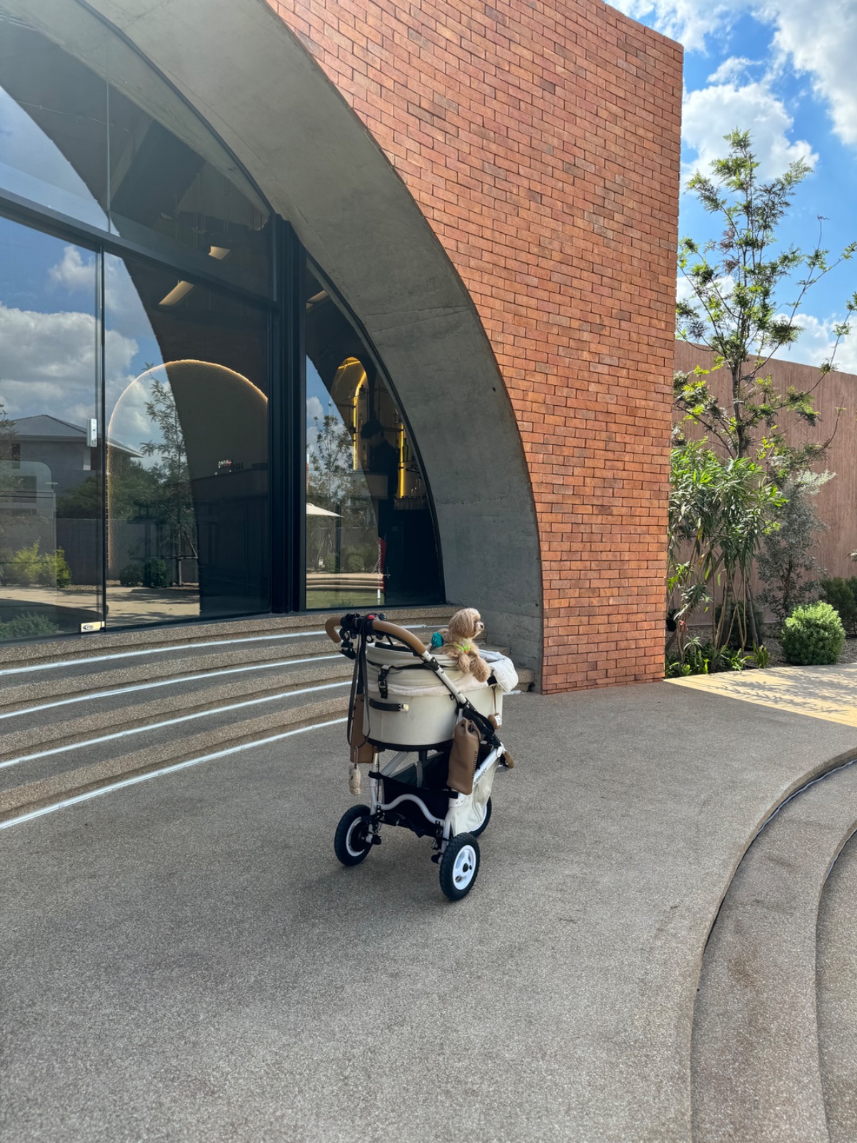 Dawn To Dusk pets image 2