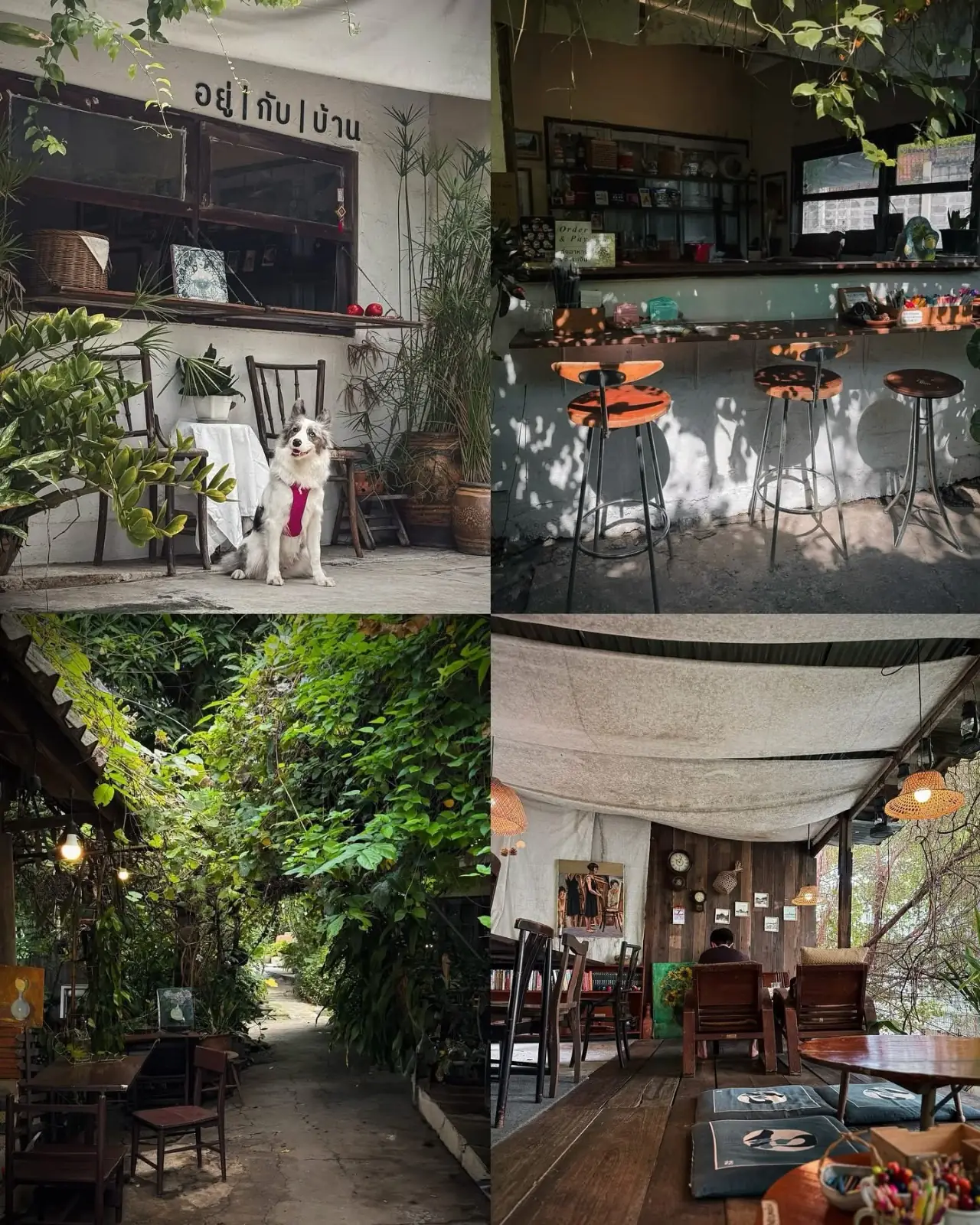 อยู่กับบ้าน overall image 1