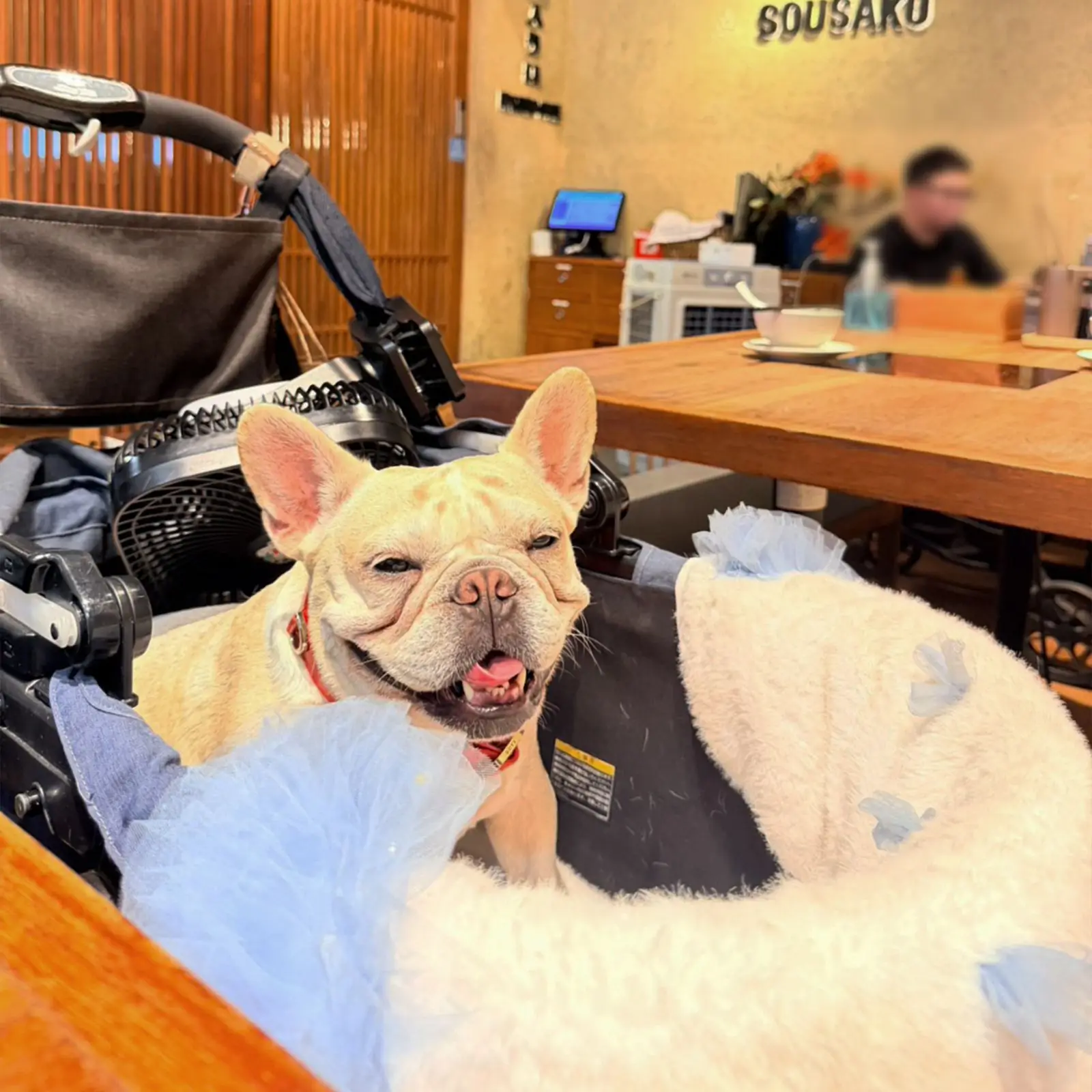Sousaku Gourmet Shabu Buffet - Central World pets image 2