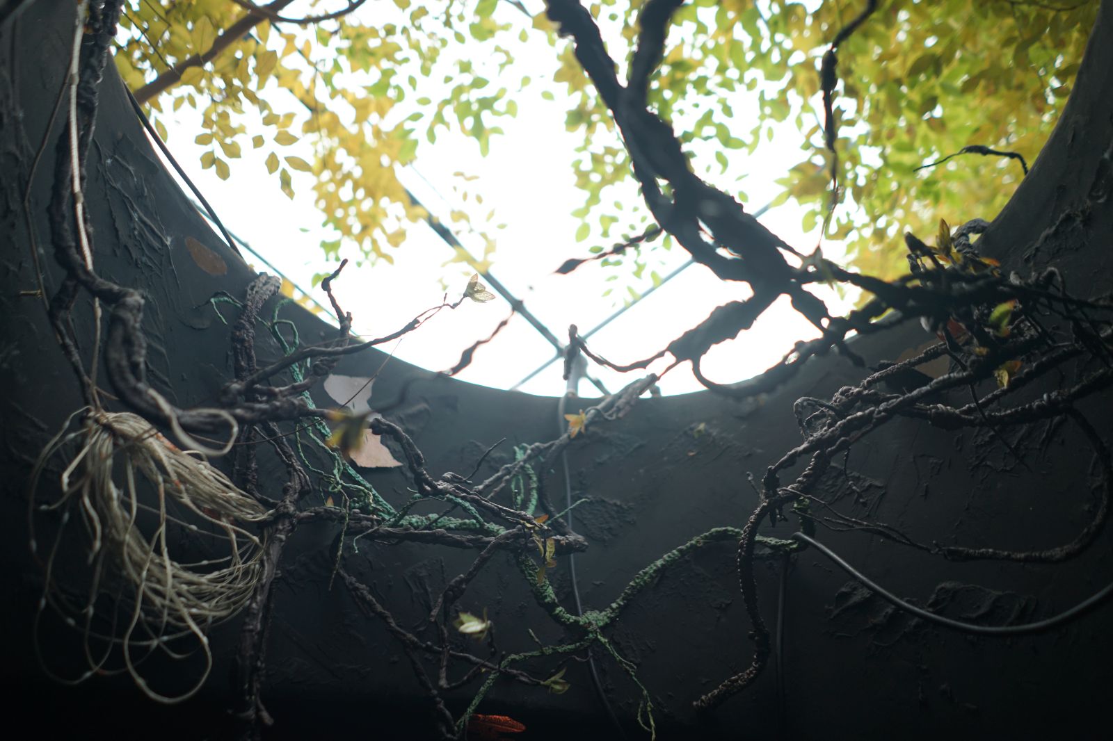 MOUSE THE FINE HIDING ambiance image 2