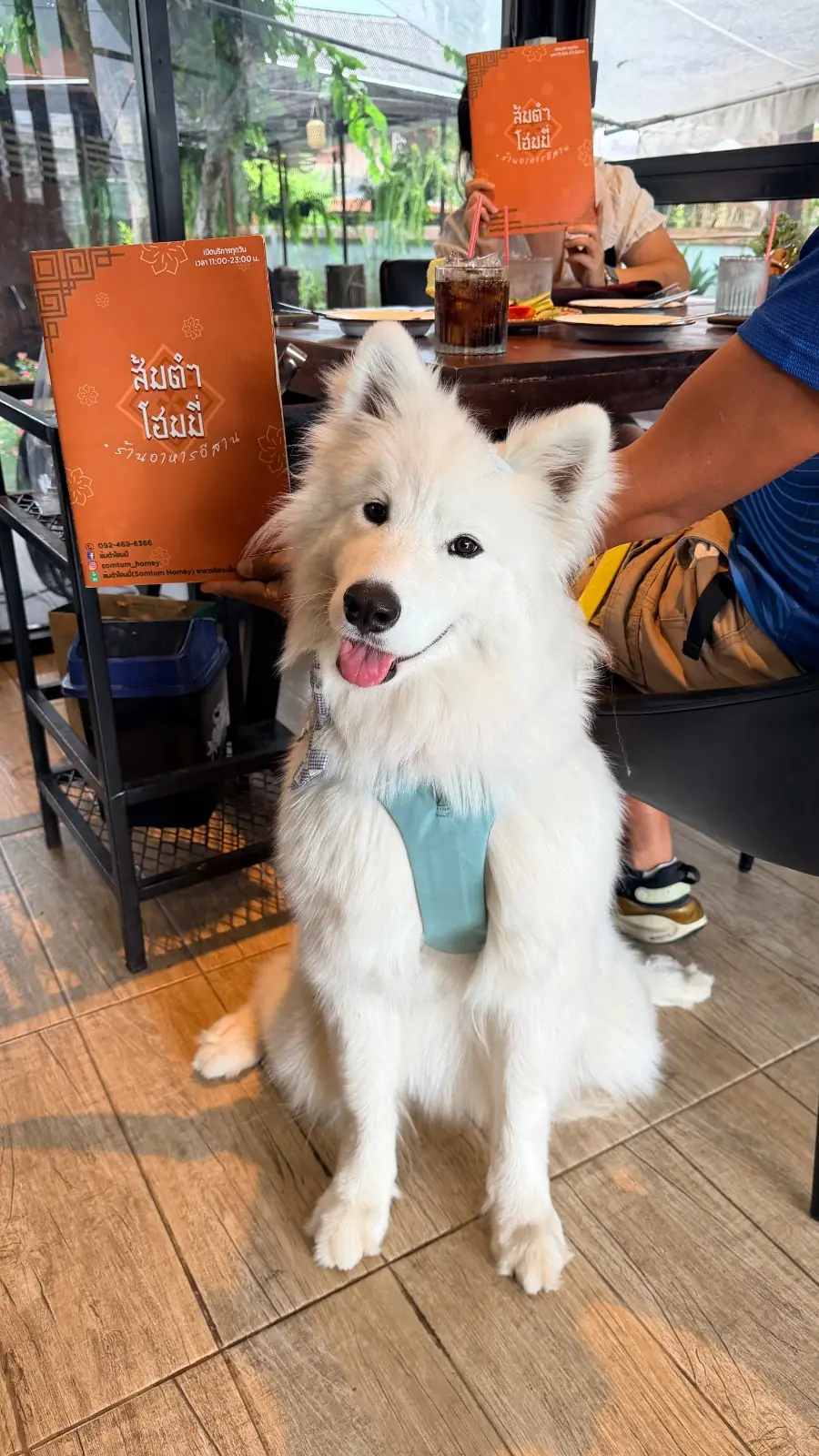 ส้มตำโฮมมี่ pets image 6