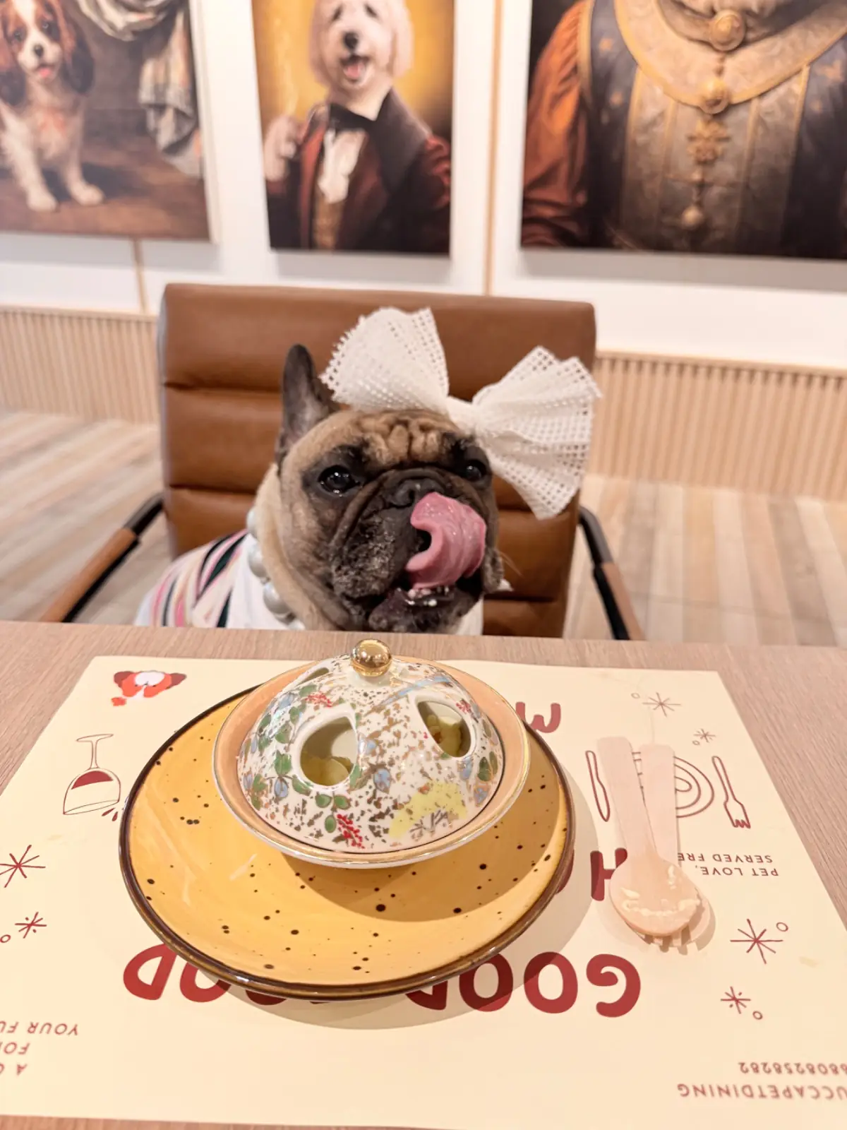 Zucca Pet Dining pets image 1