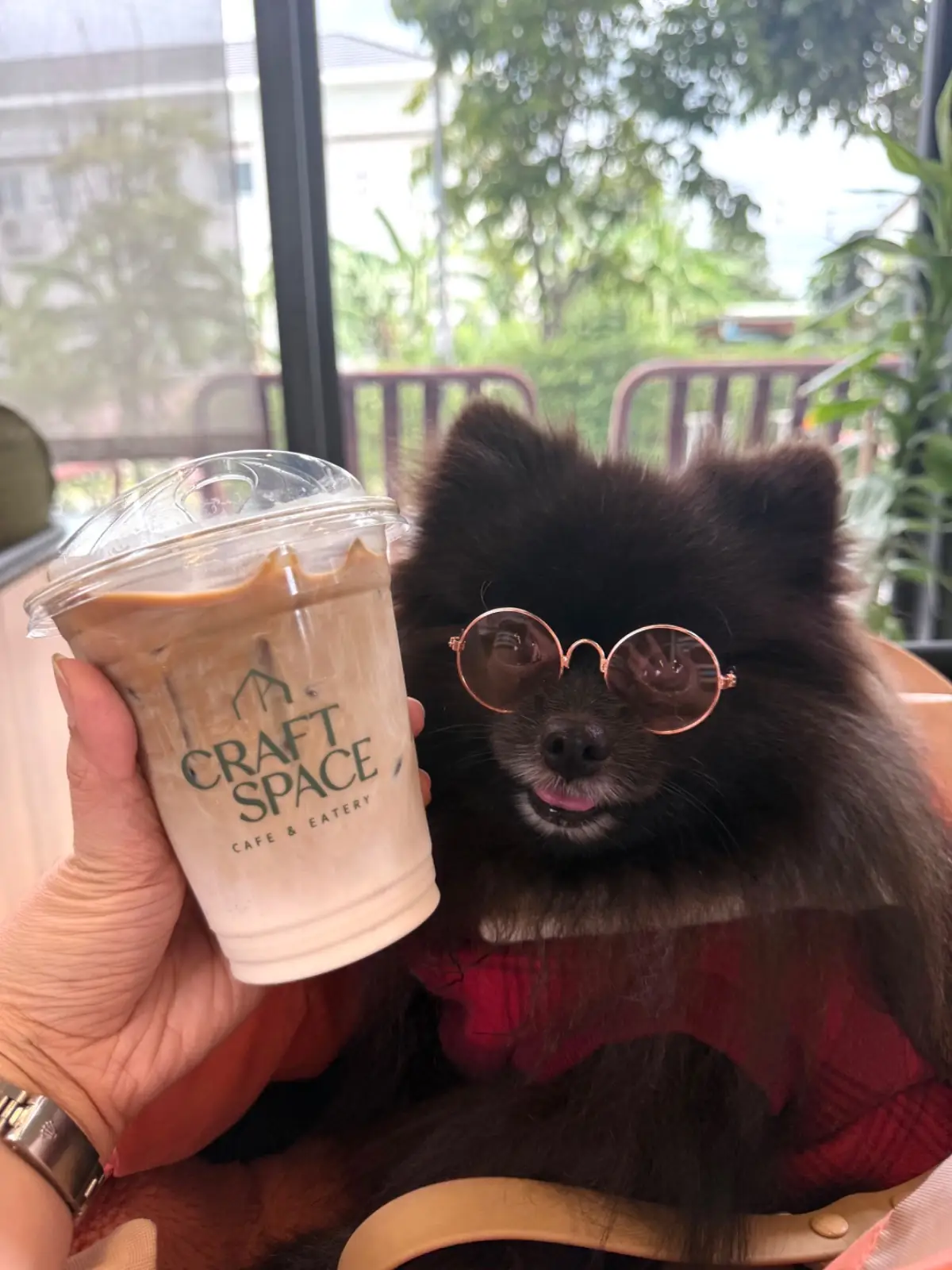 Craft Space Cafe & Eatery pets image 3