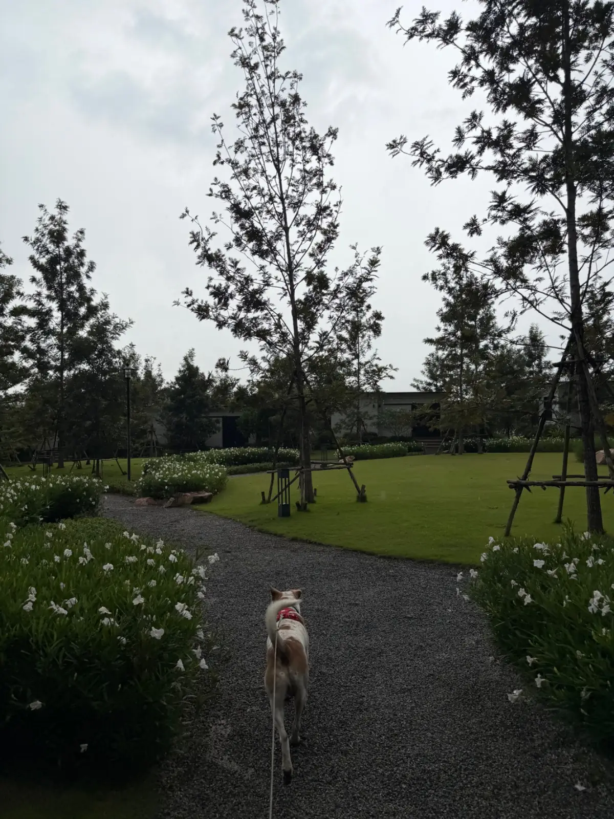 Bat Tales Cafe & Restaurant - Khaoyai ambiance image 1