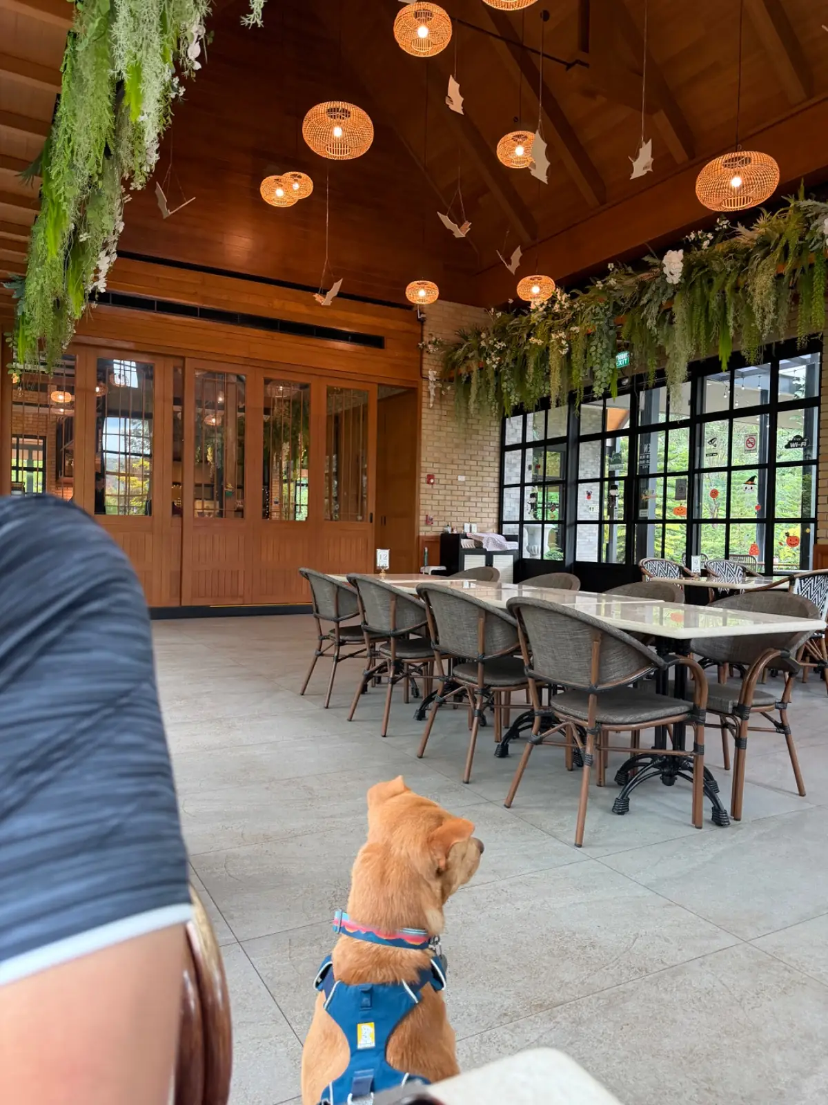 Bat Tales Cafe & Restaurant - Khaoyai ambiance image 2