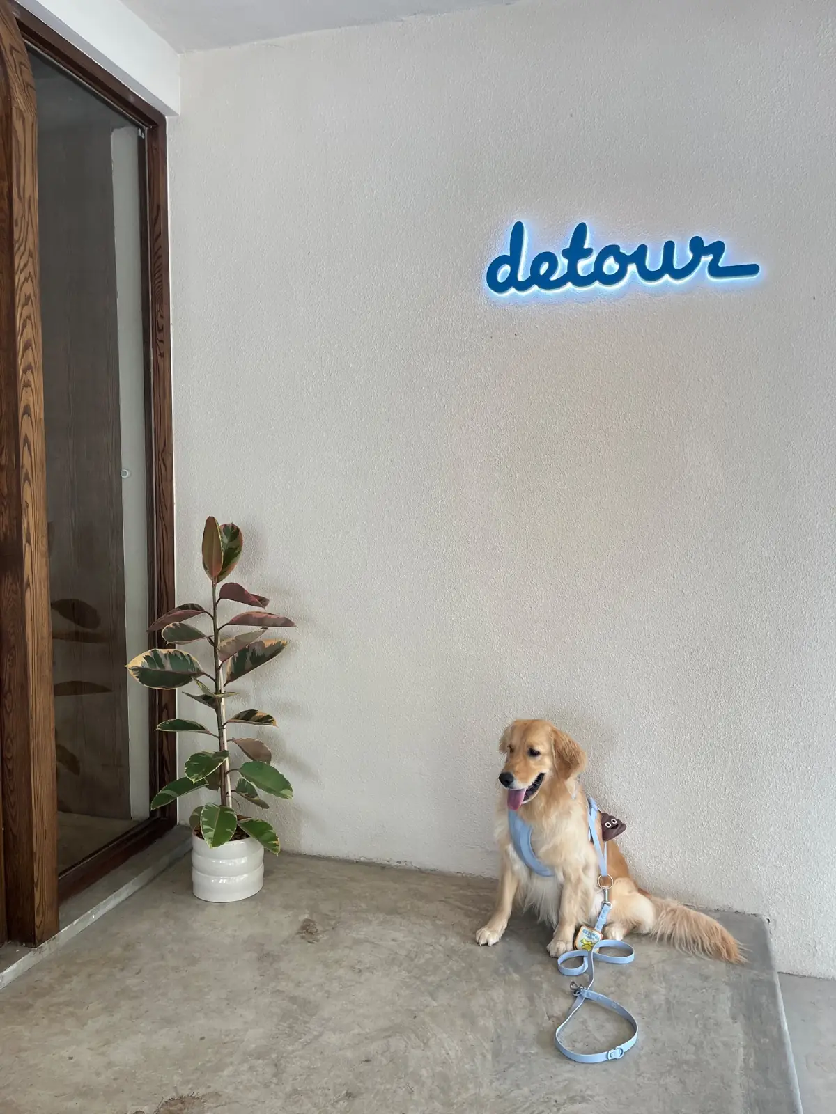 DETOUR - Coffee Brunch & Bar pets image 1