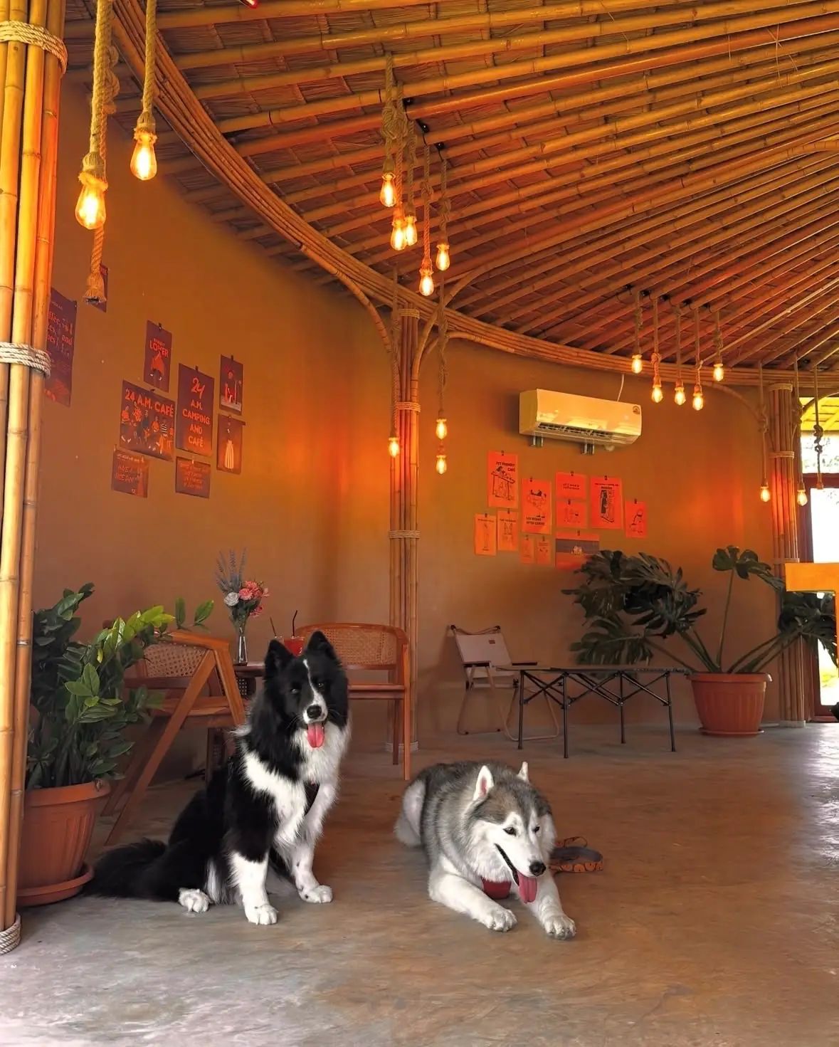 24 A.M. CAFÉ & BAR - Saraburi overall image 1