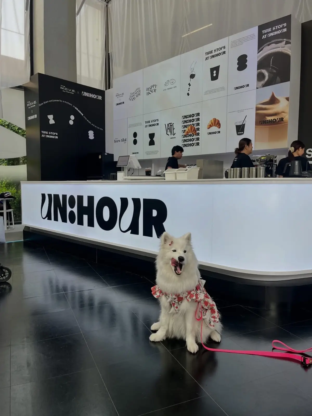 EmSphere Garden pets image 1