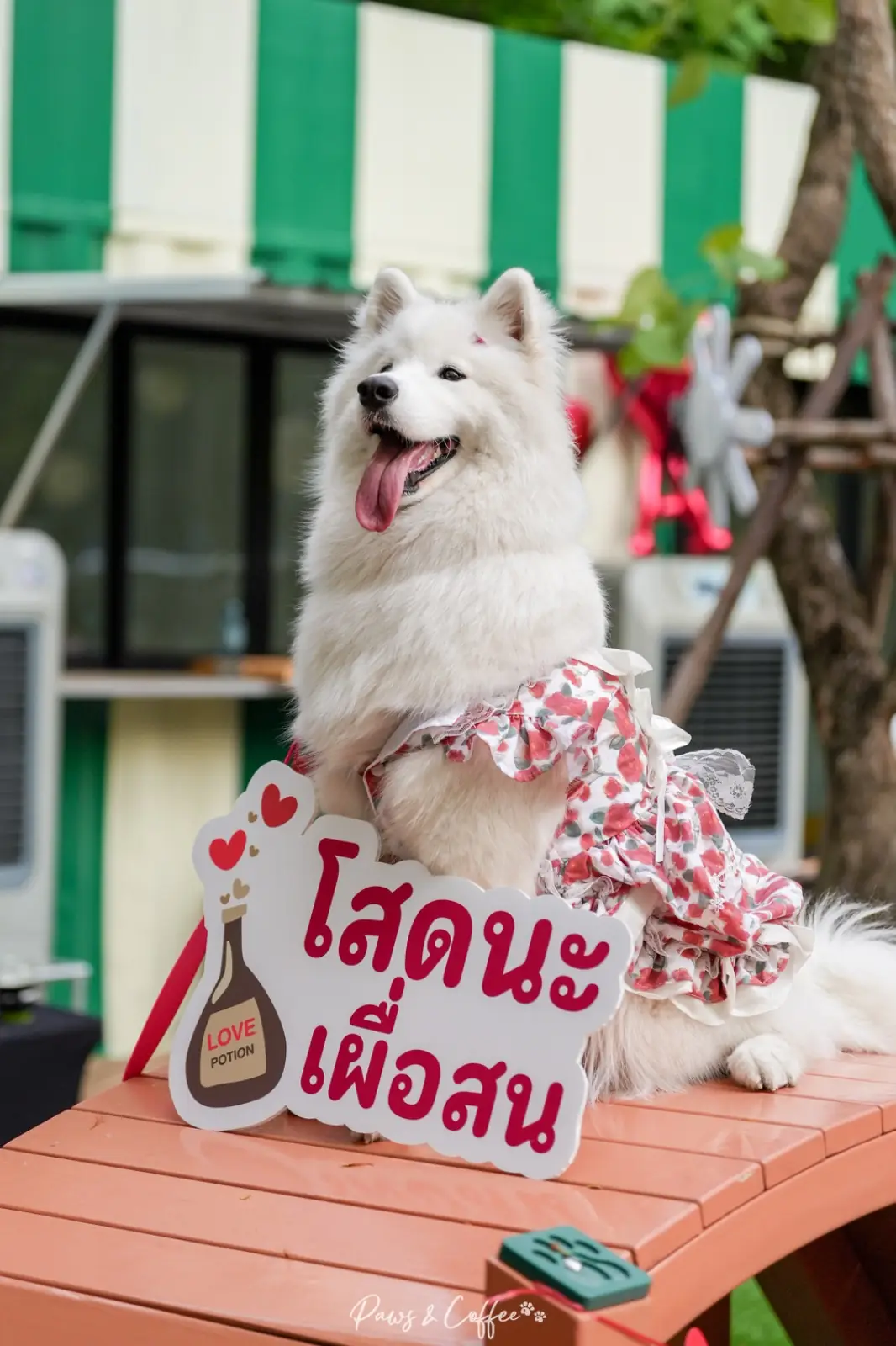 EmSphere Garden pets image 2