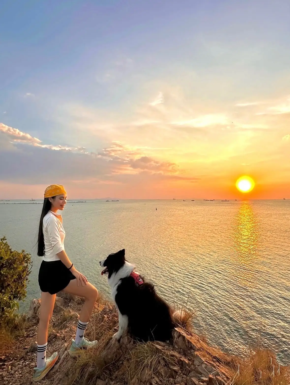 จุดชมวิว เขาแหลมฉบัง pets image 3