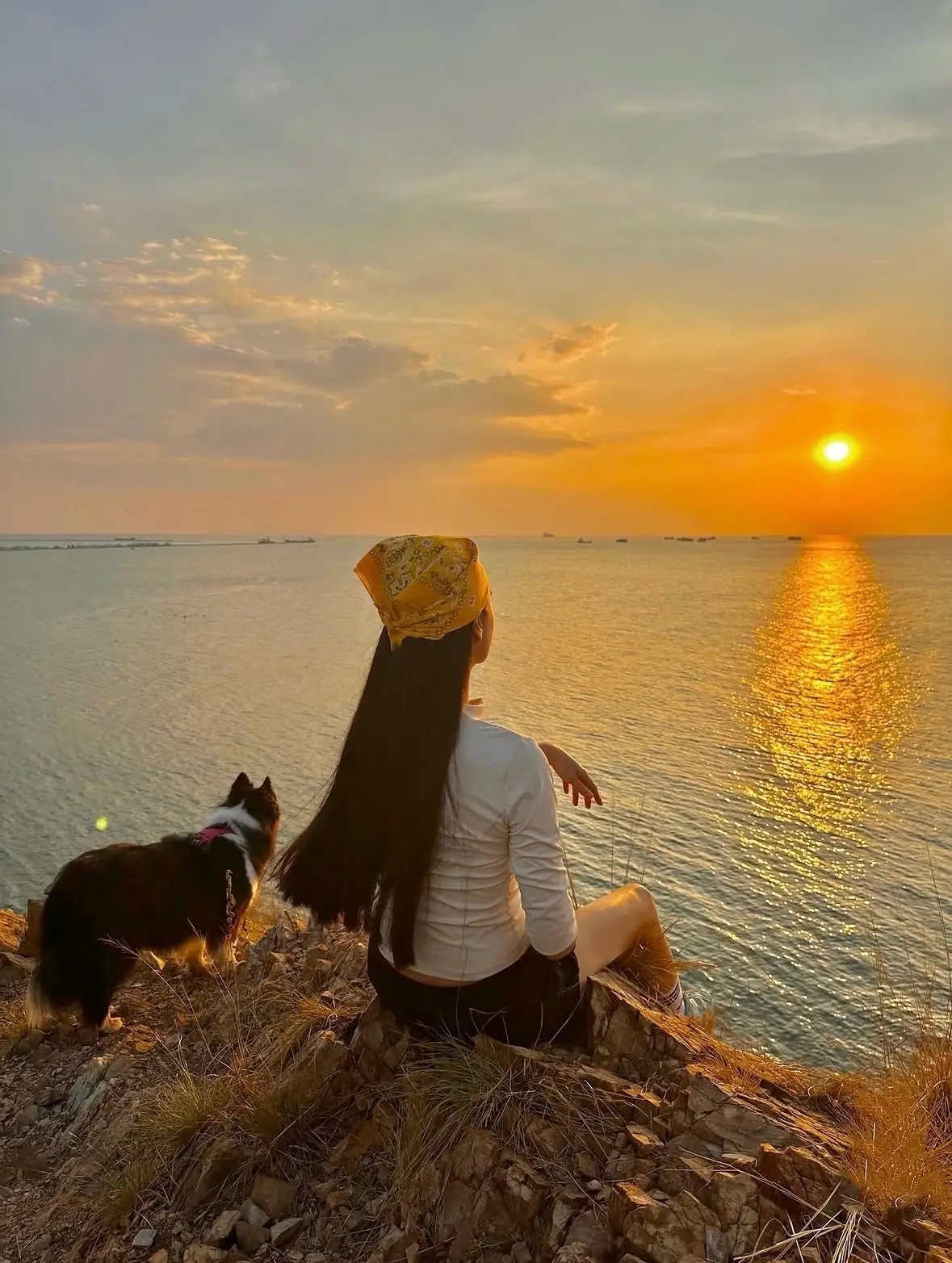 จุดชมวิว เขาแหลมฉบัง pets image 4