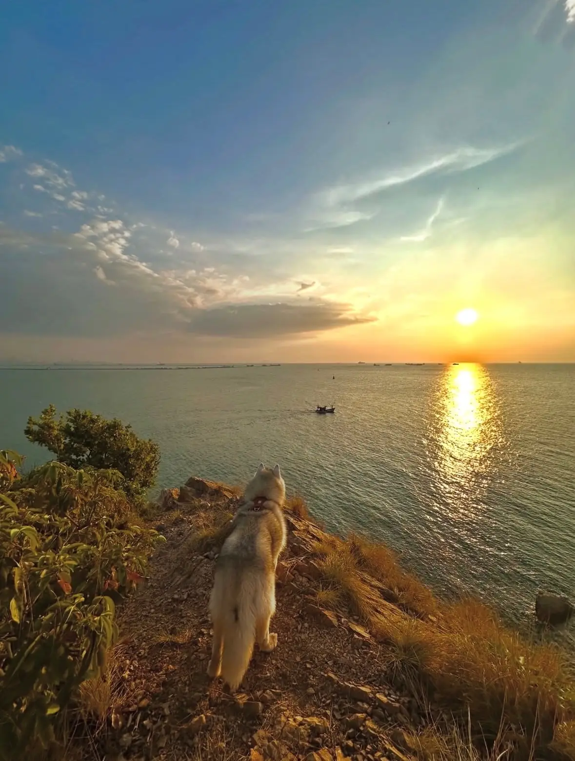 จุดชมวิว เขาแหลมฉบัง pets image 6