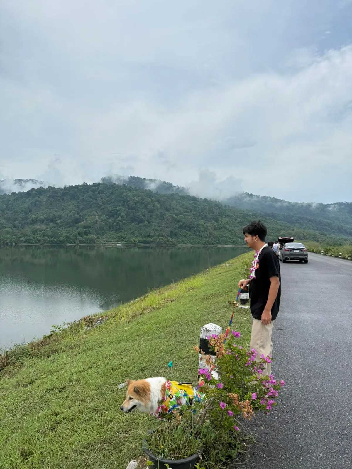 อ่างเก็บน้ำห้วยปรือ - นครนายก pets image 1