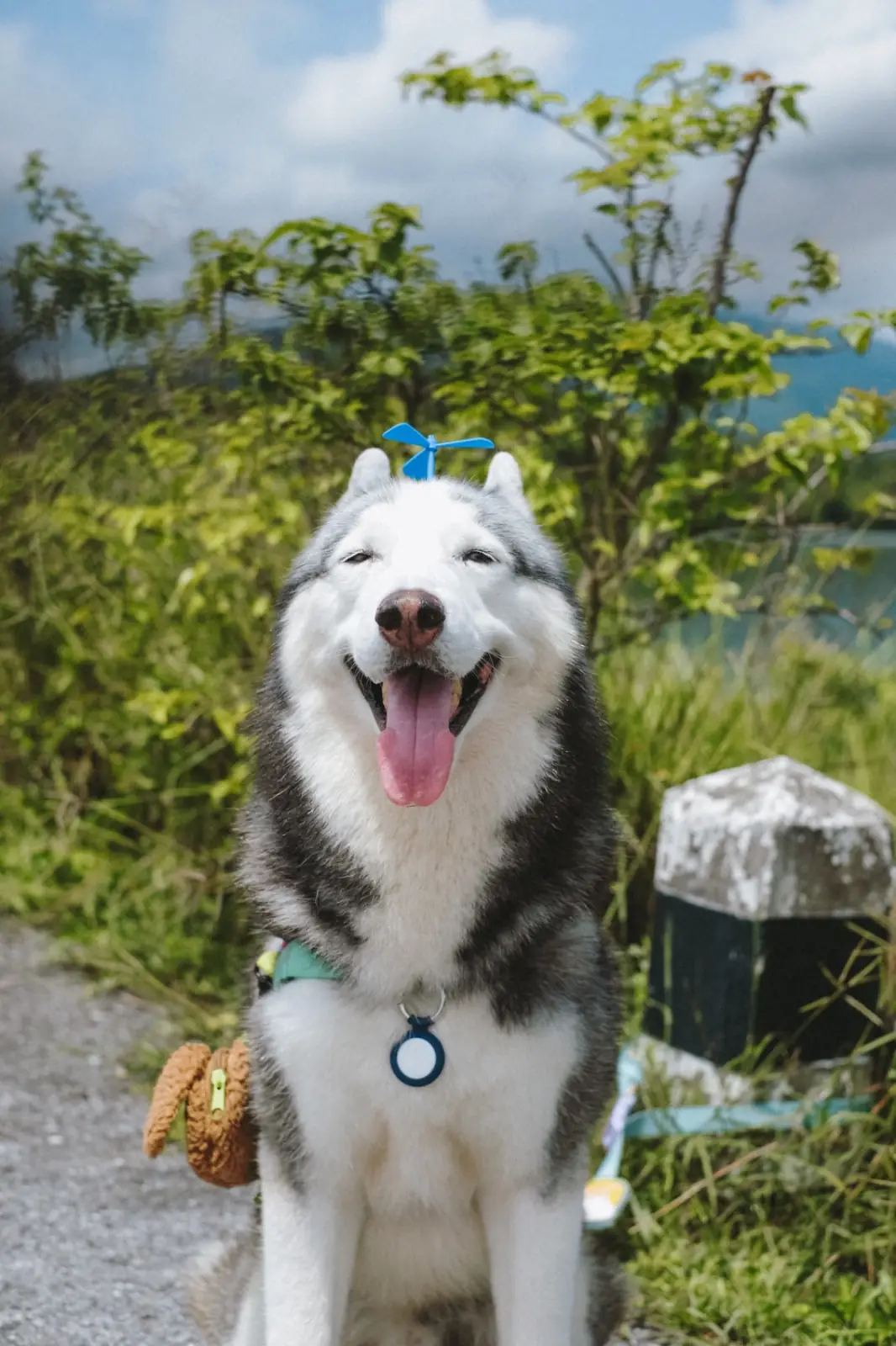 อ่างเก็บน้ำห้วยปรือ - นครนายก pets image 7