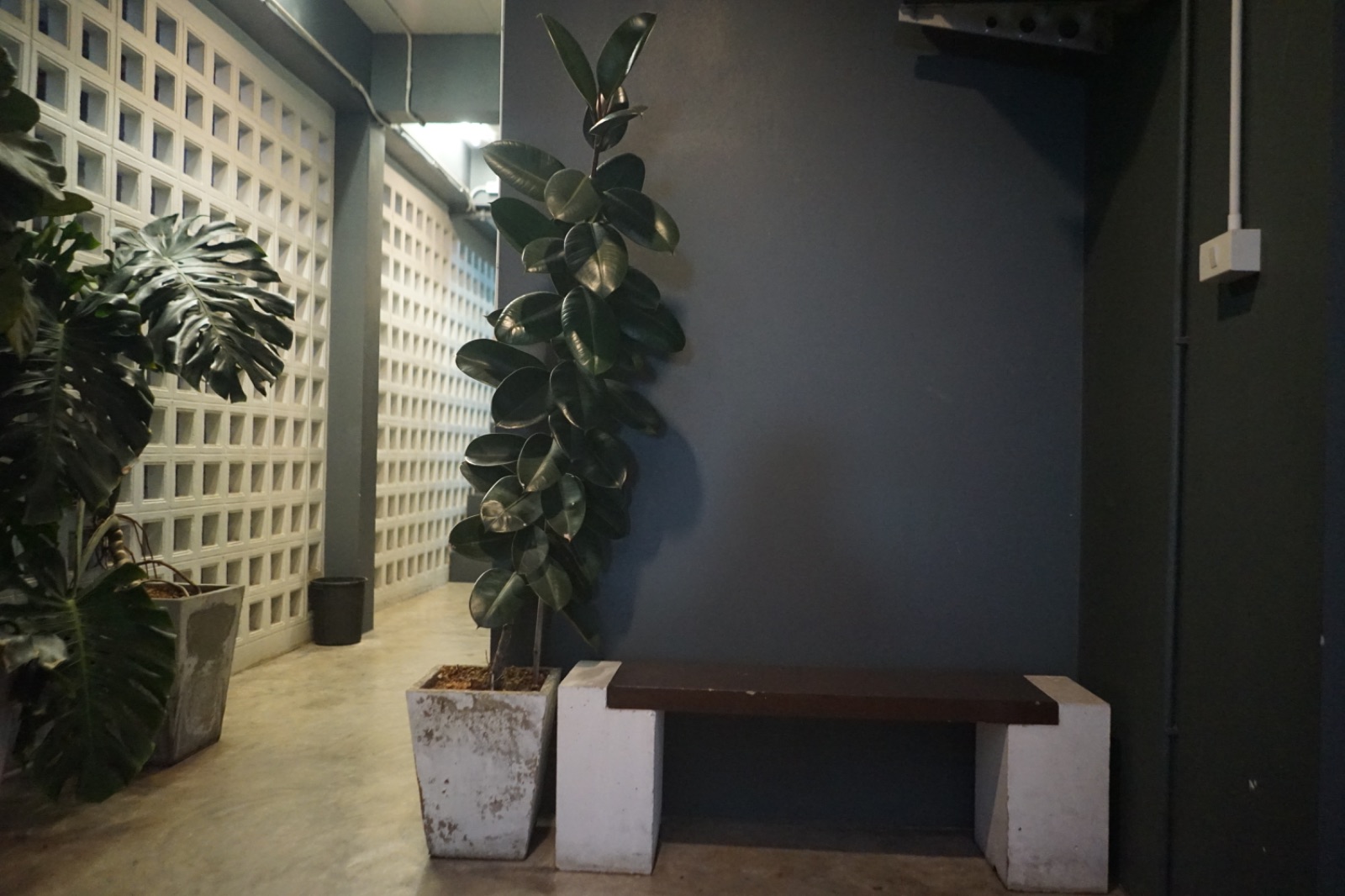 Wanlapeckk Coffee Bar overall image 2