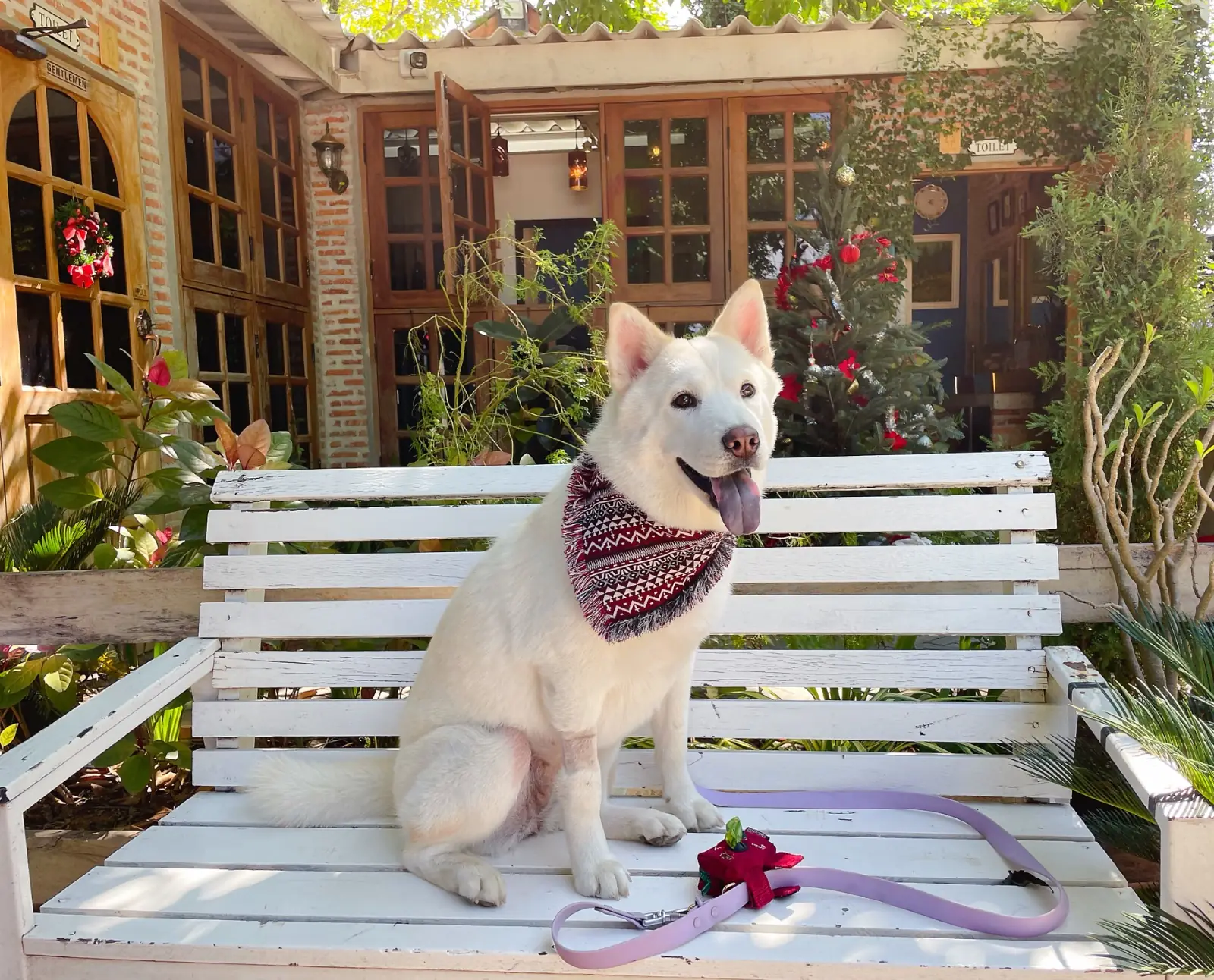 RAVI RIVA CAFE pets image 2