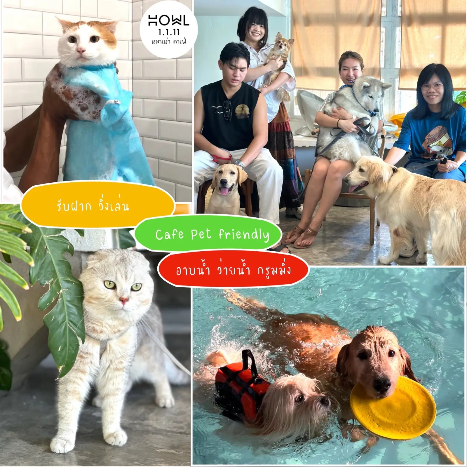 ฮาวว์ หมาเห่าคาเฟ่ pets image 1