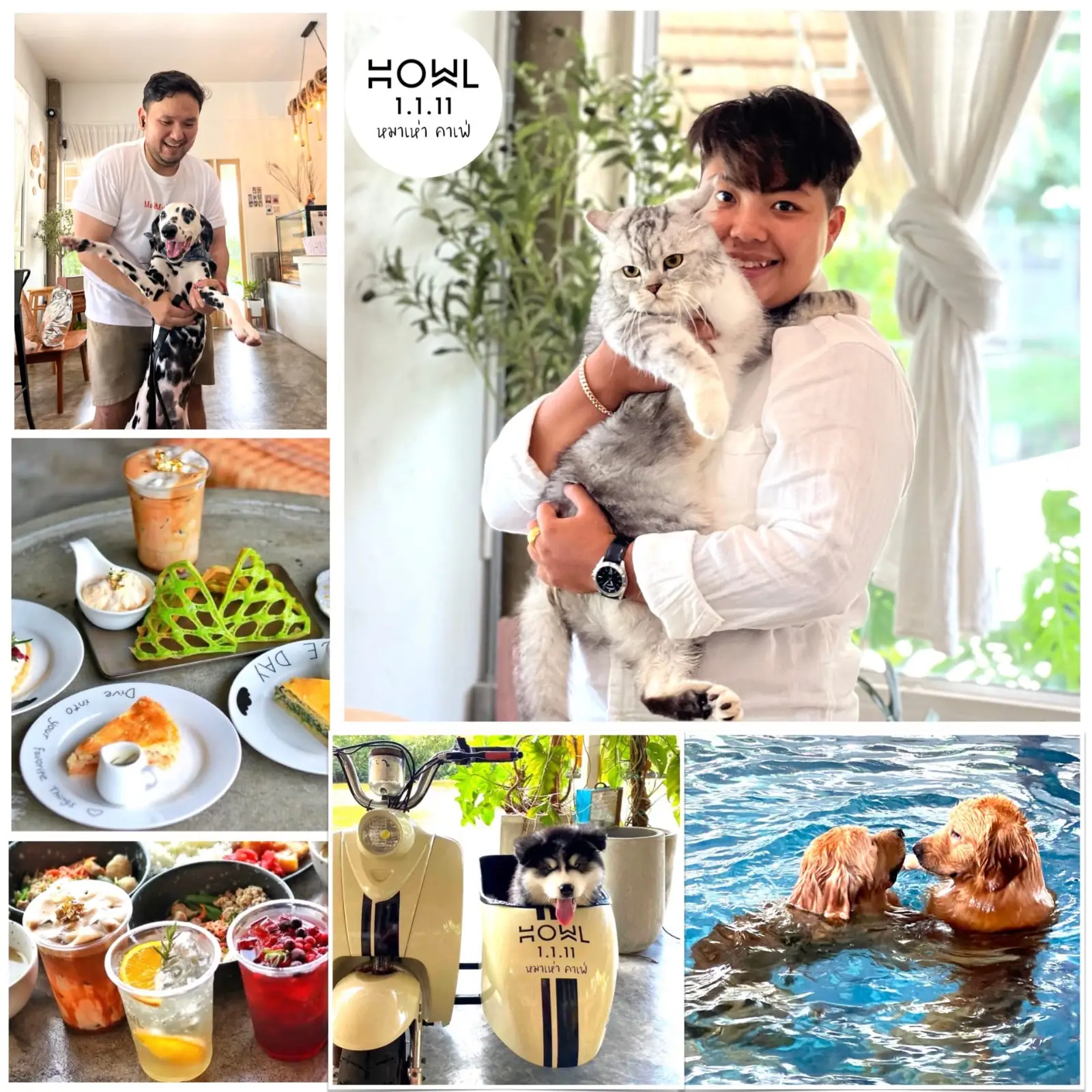 ฮาวว์ หมาเห่าคาเฟ่ pets image 2