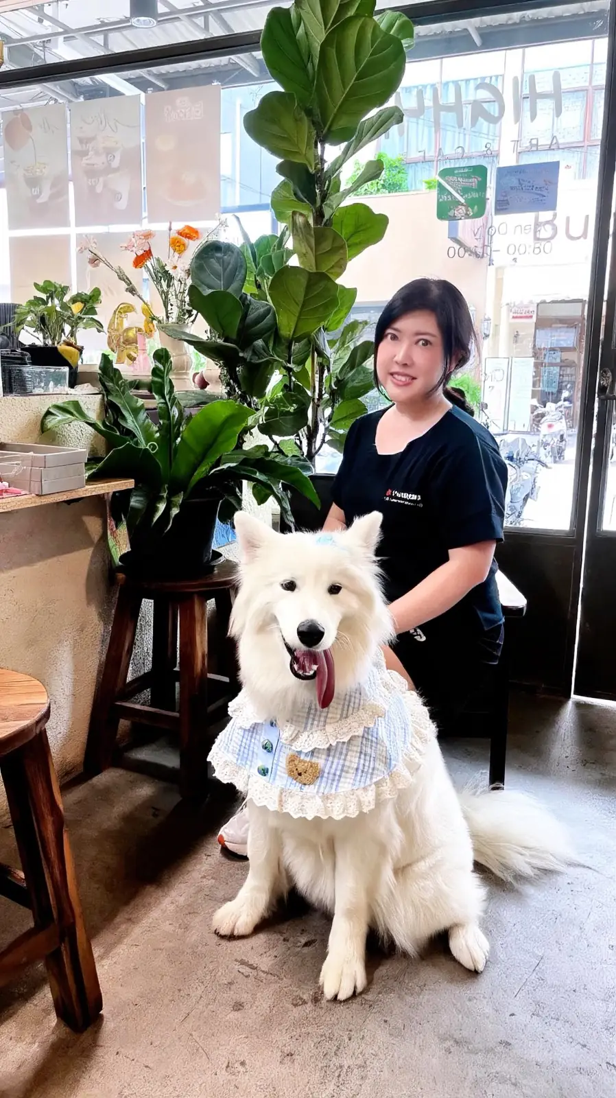 Highyard Cafe pets image 2