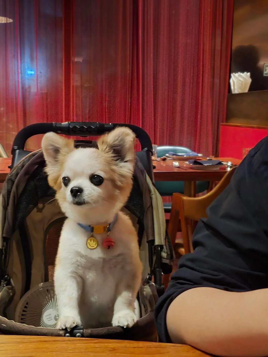 el Willy other image 2