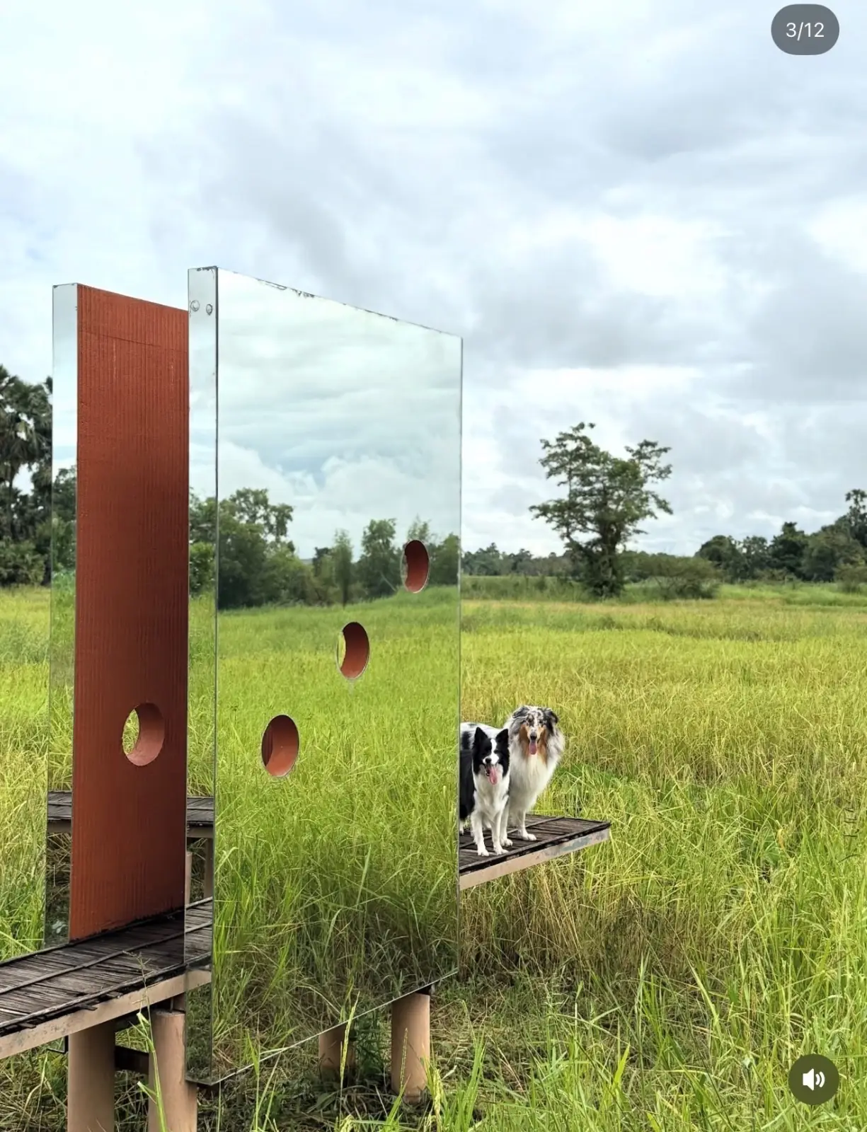 หุ่นไร่กา ambiance image 1