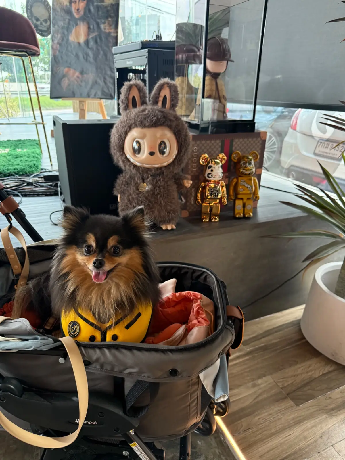 Vegas's Cafe & Gallery pets image 2