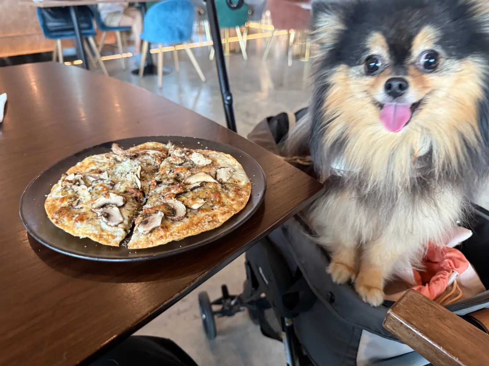 Vegas's Cafe & Gallery hero image 2