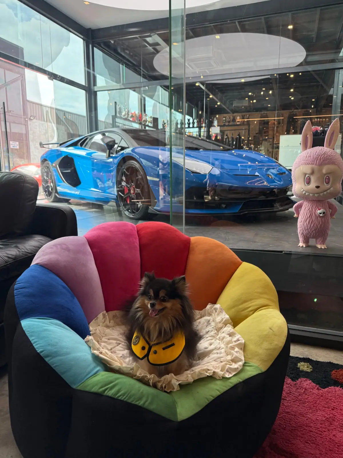 Vegas's Cafe & Gallery pets image 5