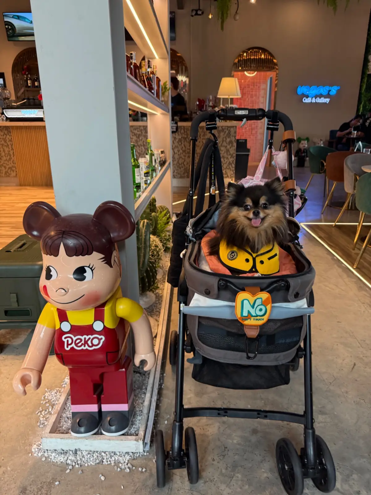 Vegas's Cafe & Gallery pets image 1