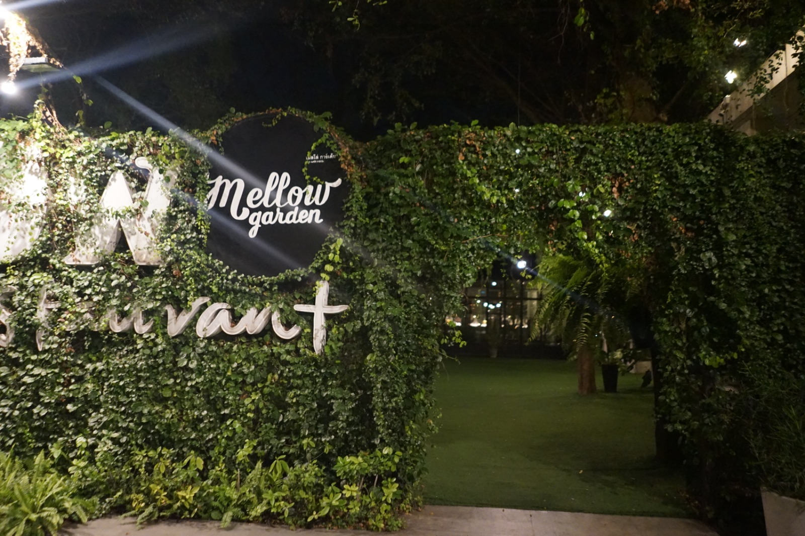 Mellow Garden hero image 3