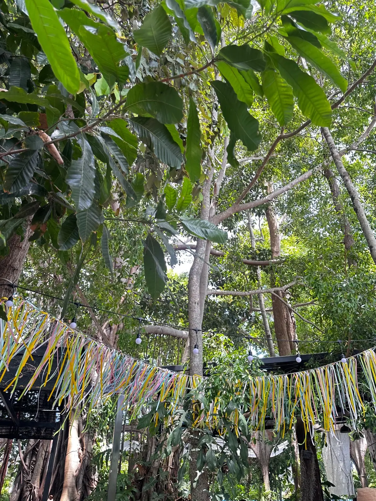 วันเวลา overall image 1
