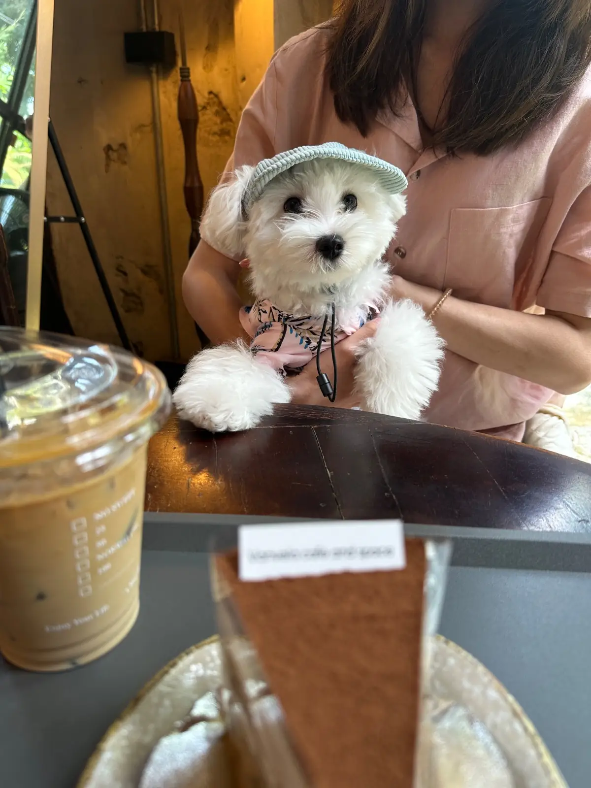 วันเวลา pets image 7