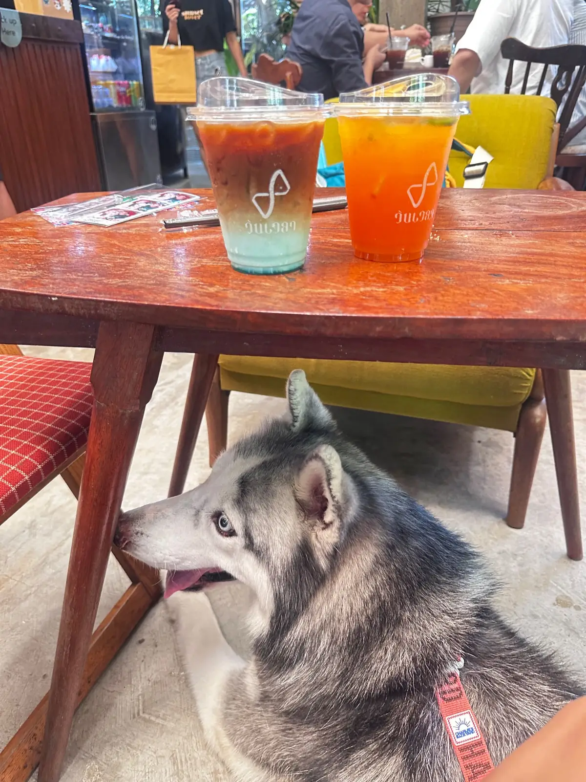 วันเวลา pets image 6