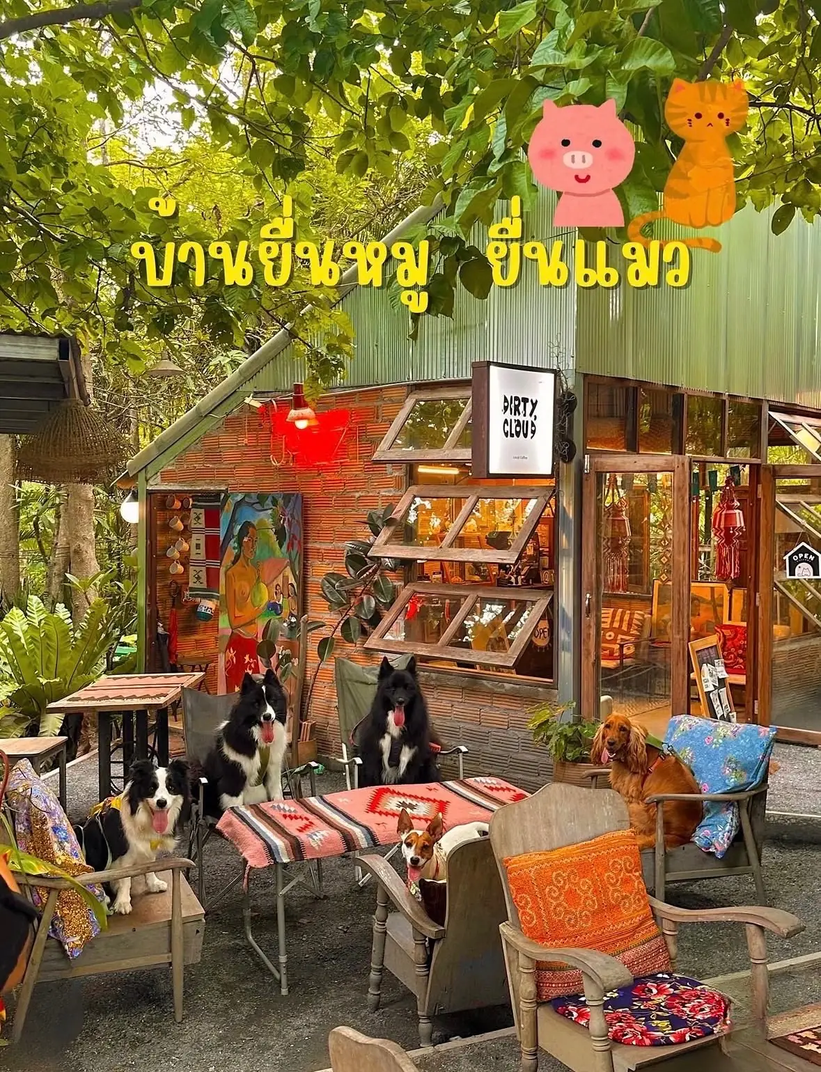 บ้านยื่นหมูยื่นแมว Yeunmoo Yeunmaew Home pets image 1