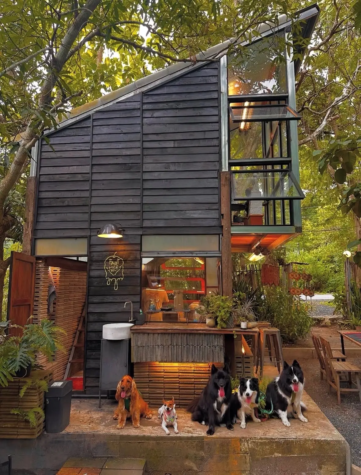 บ้านยื่นหมูยื่นแมว Yeunmoo Yeunmaew Home pets image 3