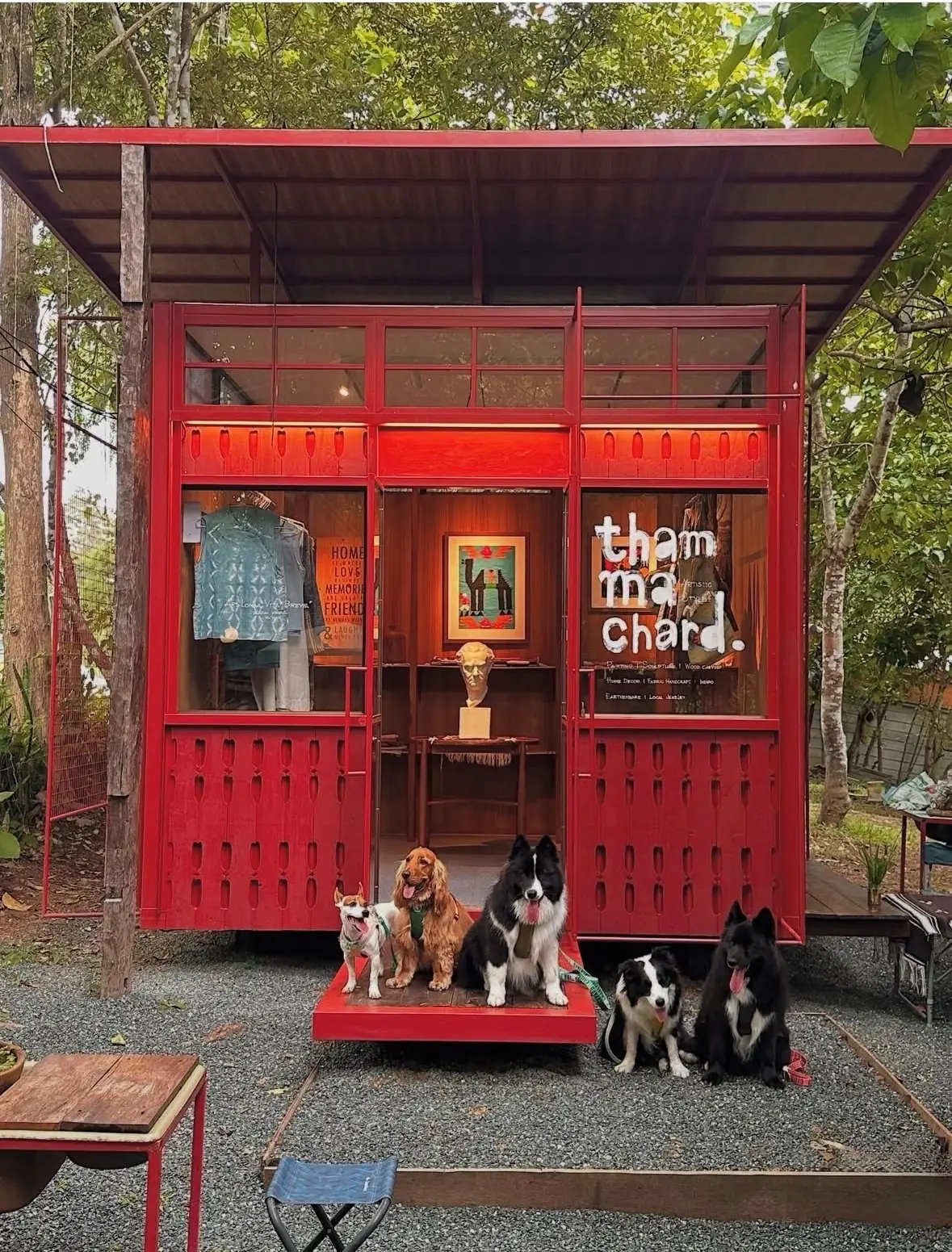 บ้านยื่นหมูยื่นแมว Yeunmoo Yeunmaew Home pets image 2