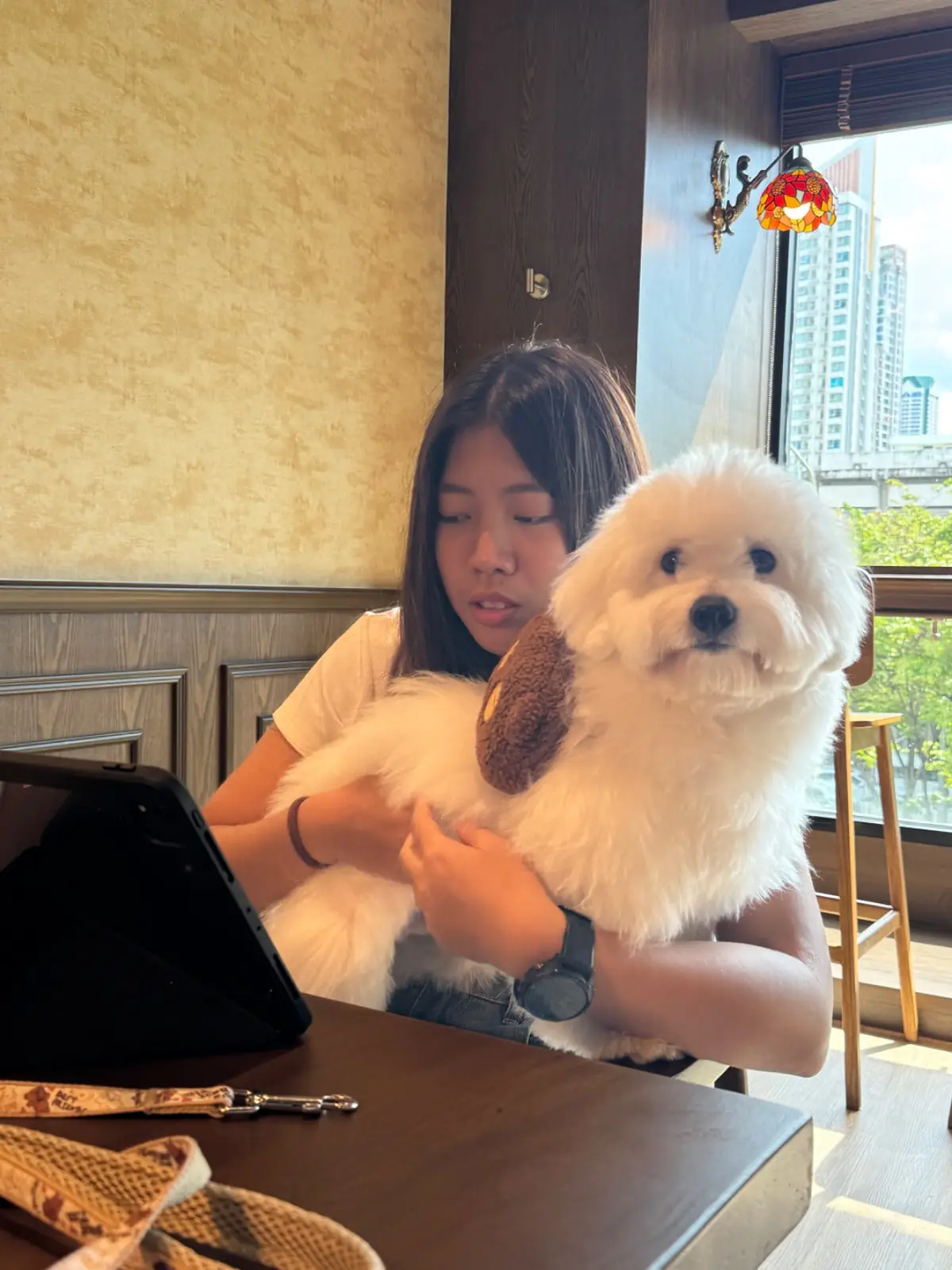 GHEE GELATO BAR pets image 4