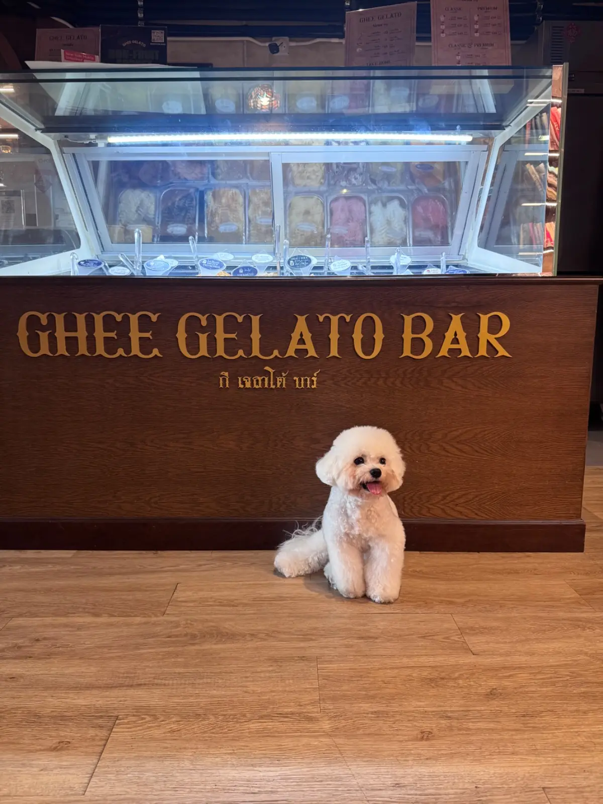 Ghee Gelato Bar pets image 13