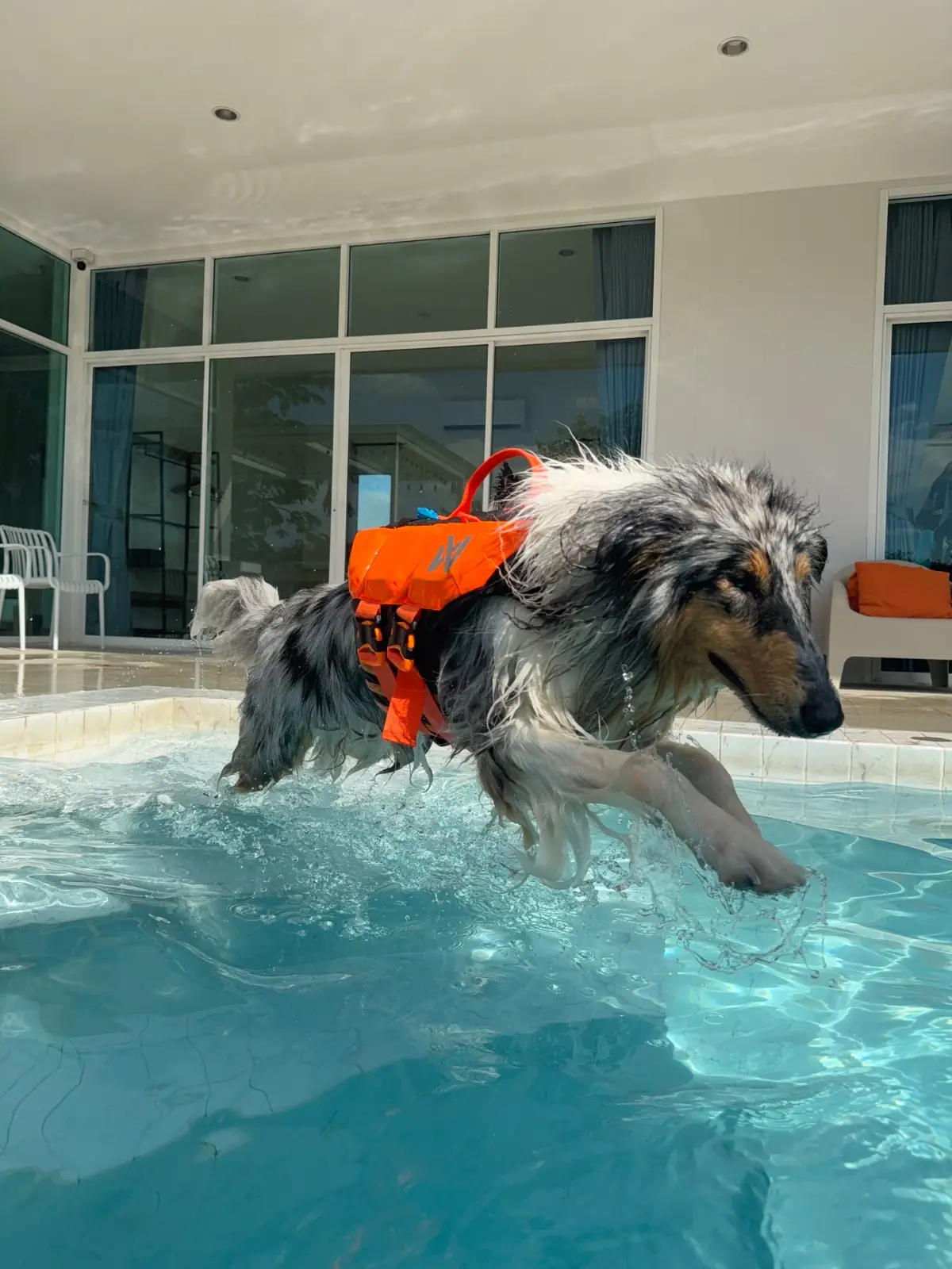 Woofhowl Pool Villa Khaoyai pets image 2