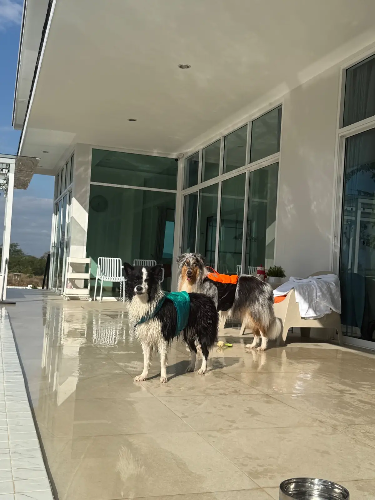 Woofhowl Pool Villa Khaoyai pets image 3