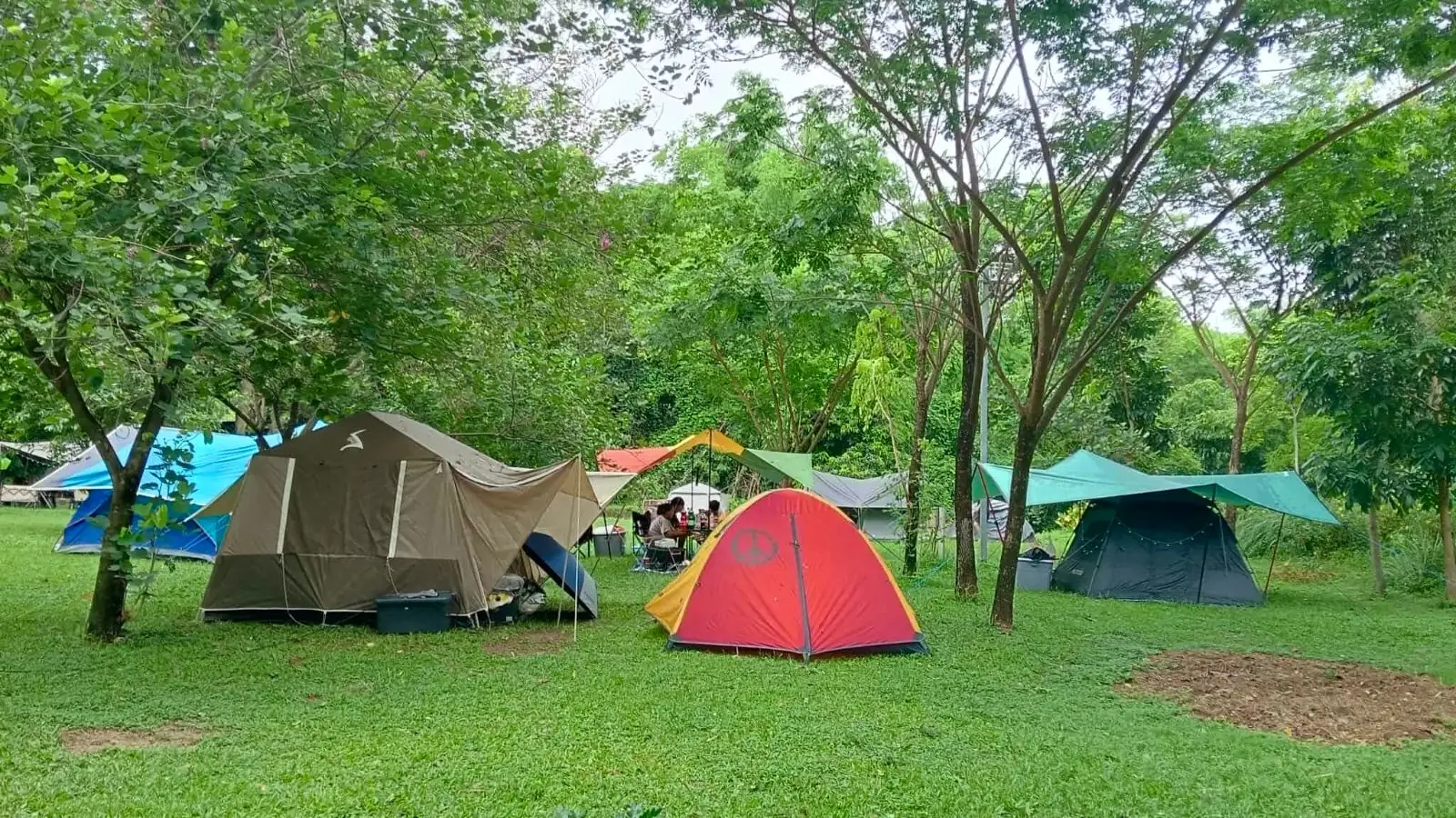 สวนยายเภาแคมป์ปิ้ง amenities image 1