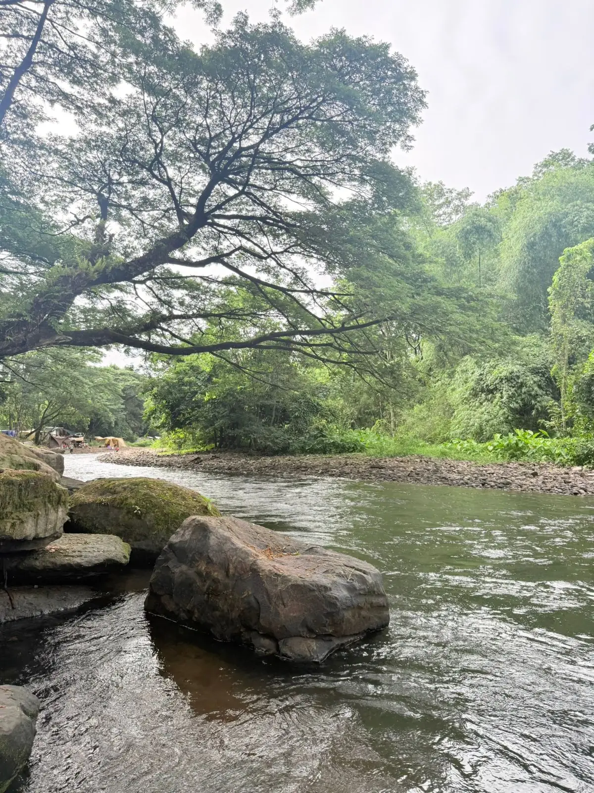 สวนยายเภาแคมป์ปิ้ง amenities image 2