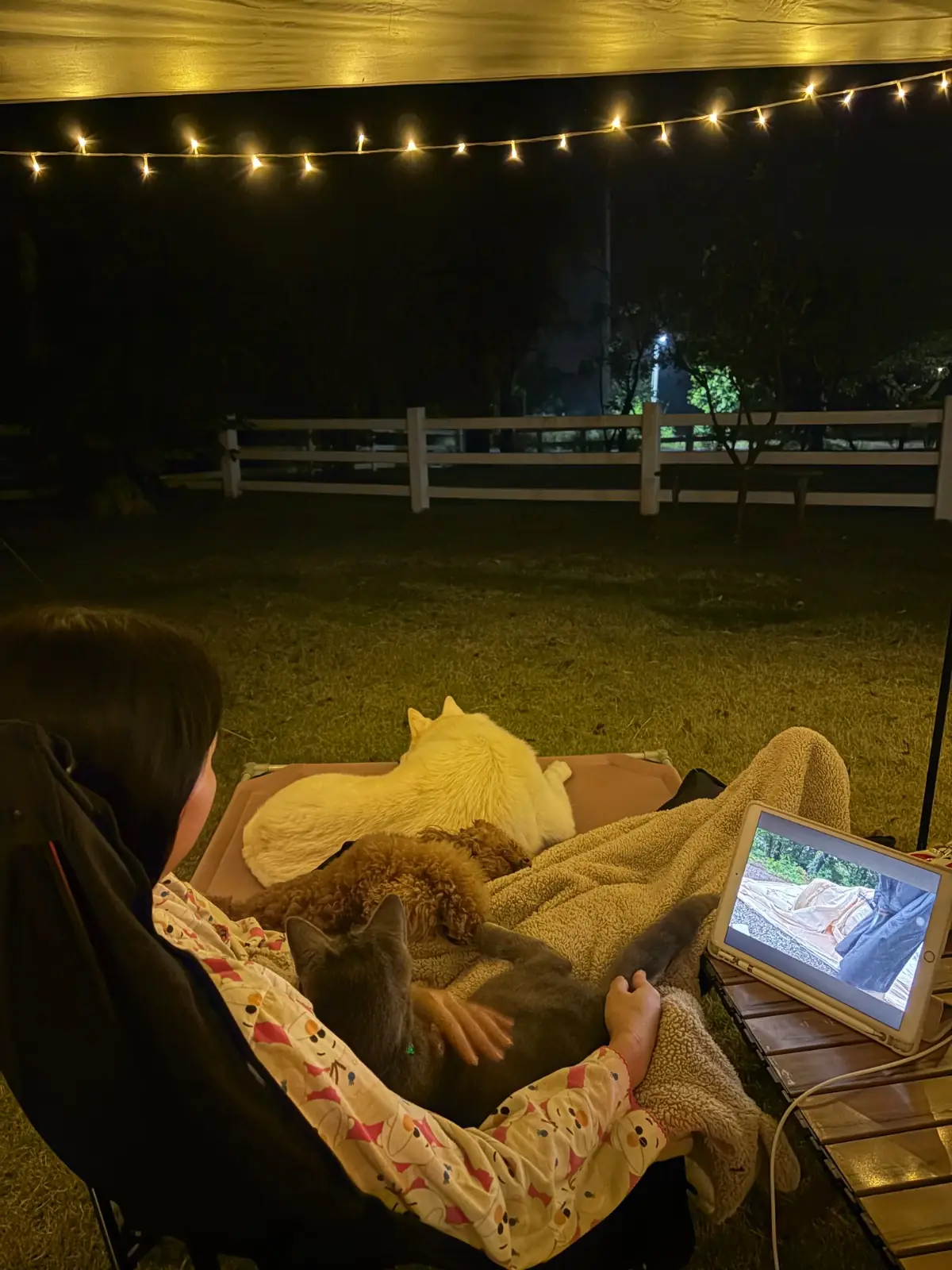 Big Bear Camping - นครปฐม pets image 2