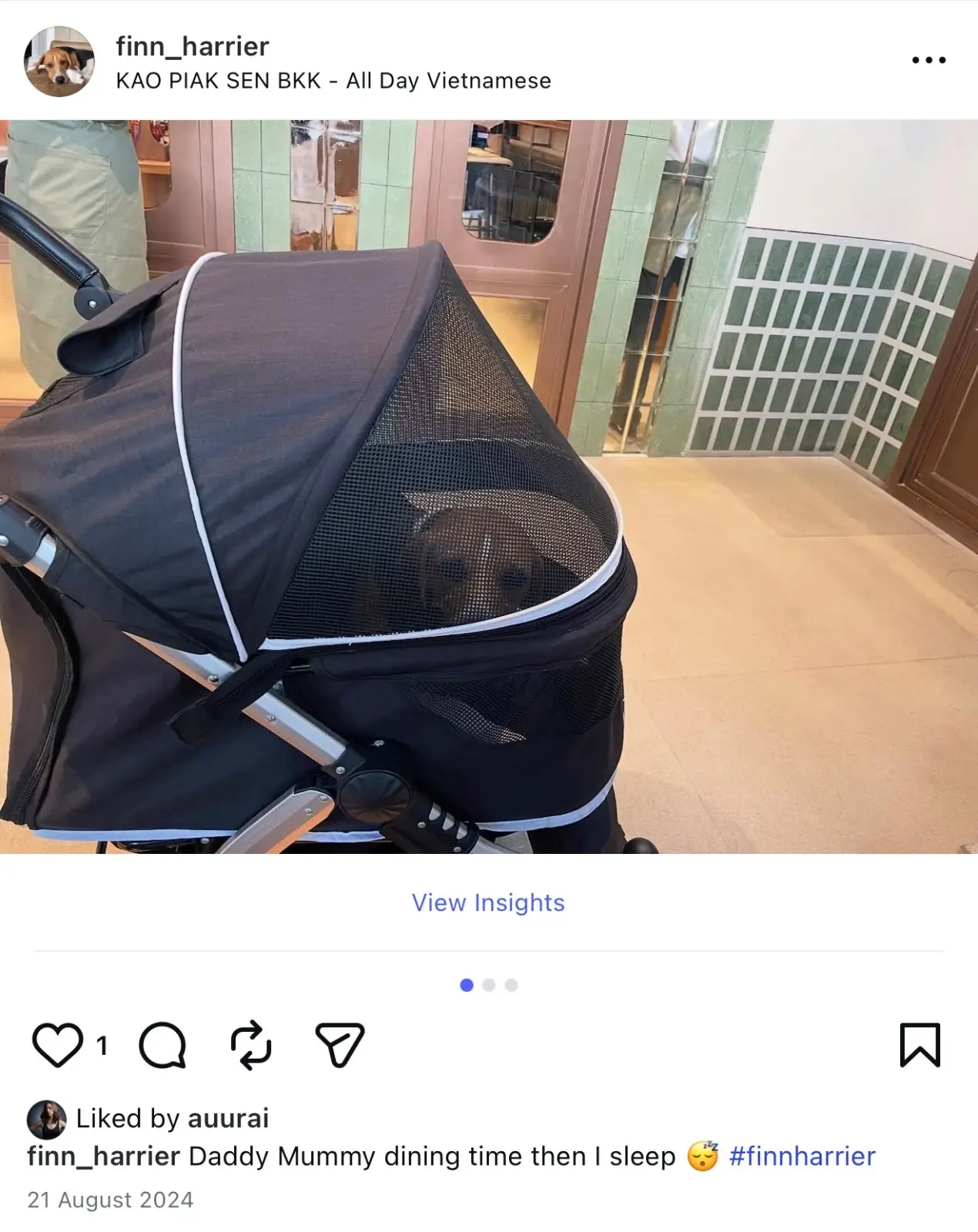 ข้าวเปียกเส้น เกษร อัมรินทร์ pets image 1