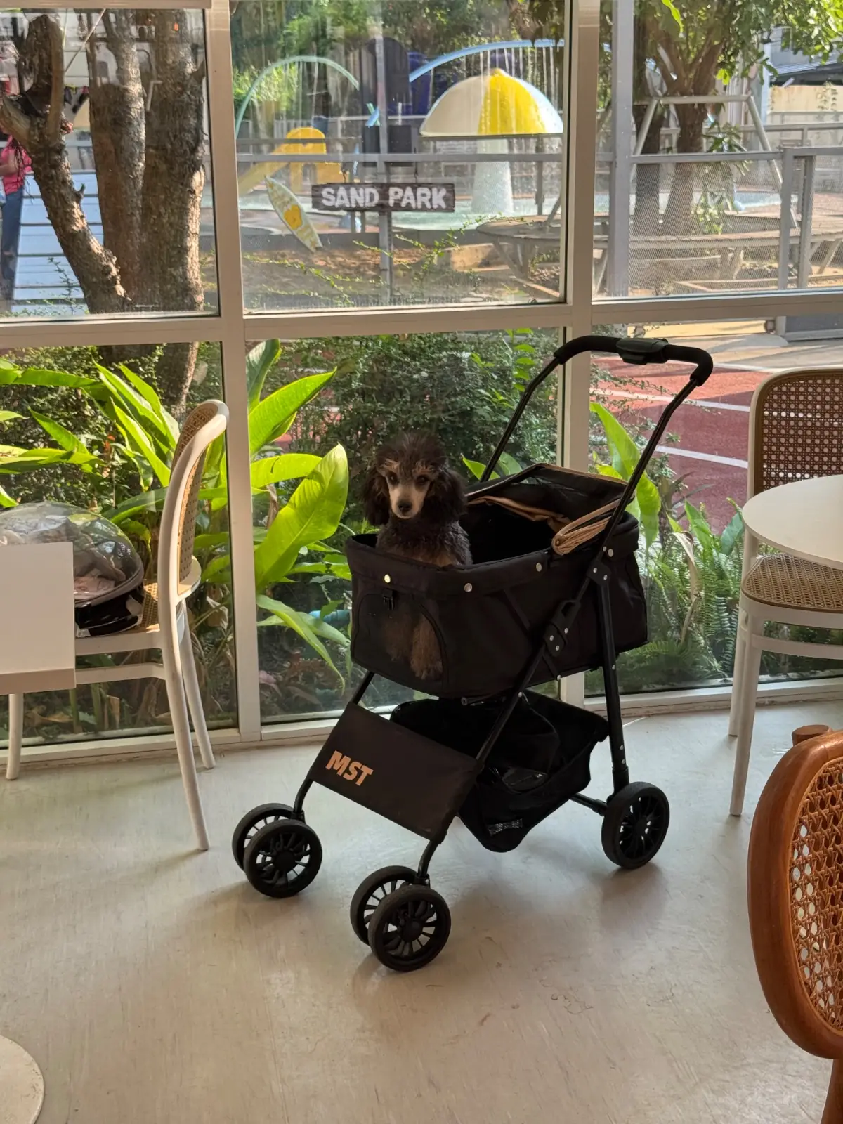 Dog's Paw other image 2