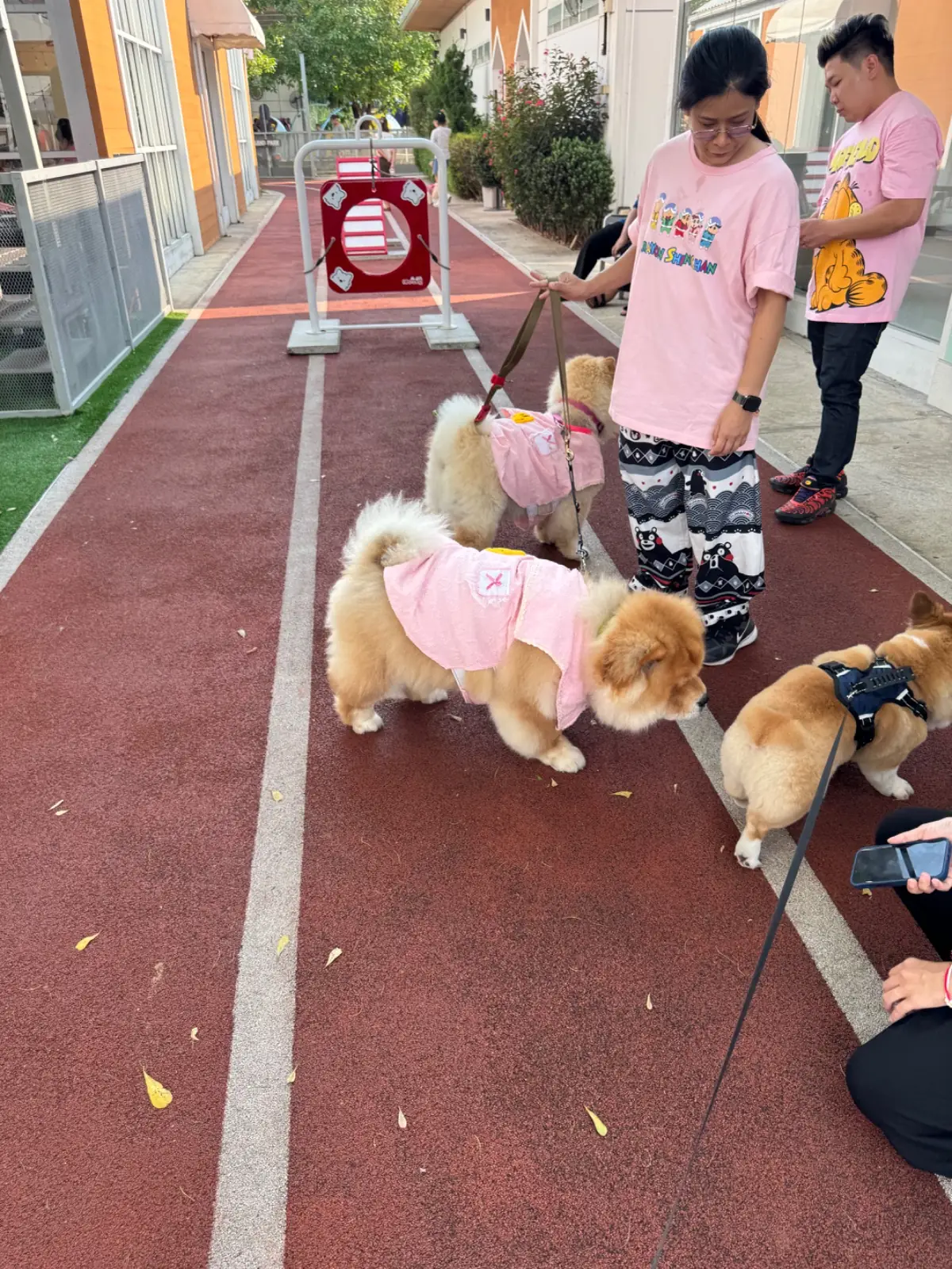 Dog's Paw other image 1